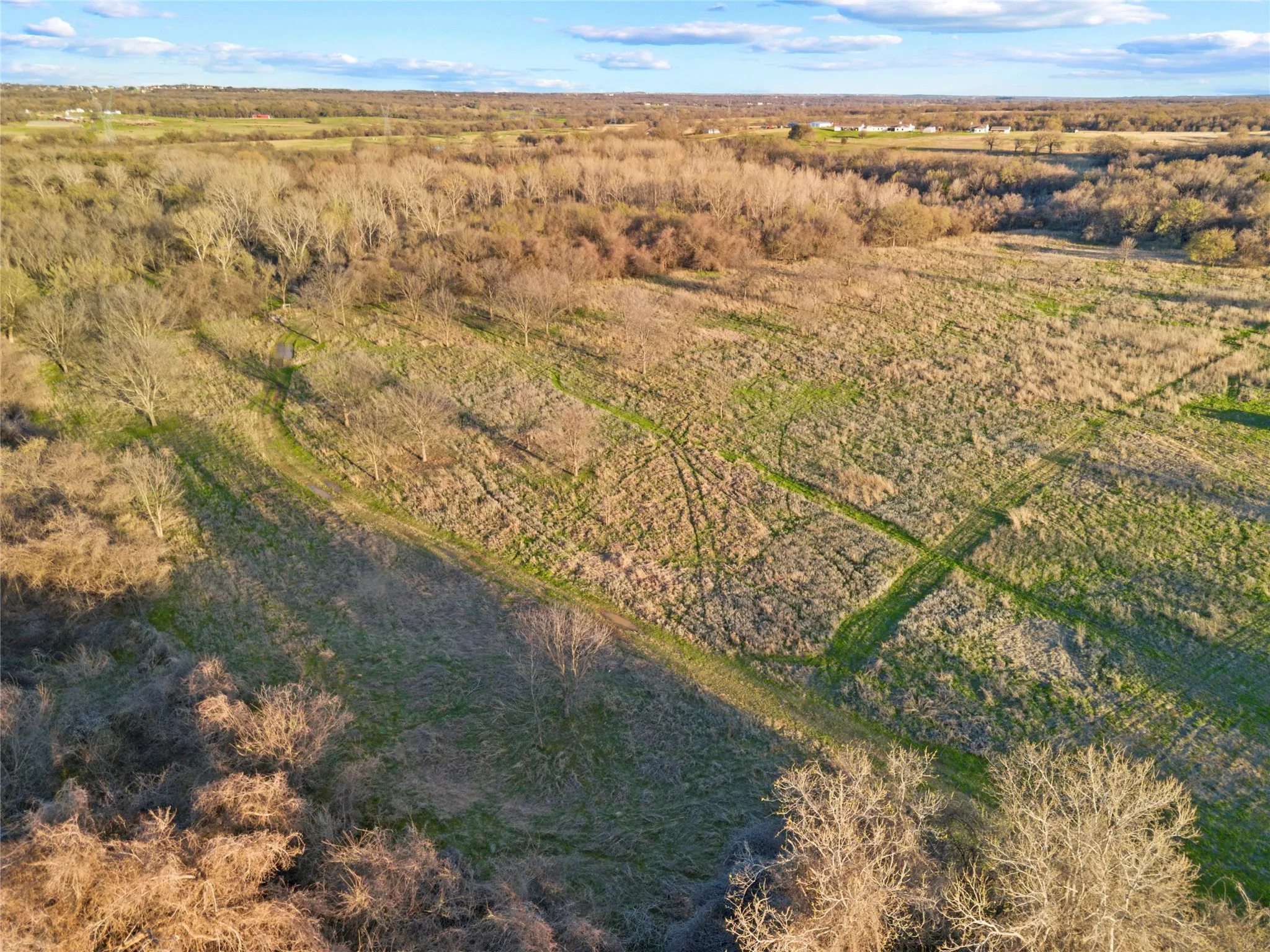 Unimproved Land For Sale in Parker County , 9911 Zion Hill Road, Poolville, Texas 76487, 0, 0, Garage spaces, 0 Sqft, built in 0, mls#21208937, Real Estate Agent in Poolville, Homes For Sale in Parker county, Homes For Sale in Poolville, Realtor in Poolville Texas, Real Estate Brokerage Independent Realty Texas, Luminita Cordes Realtor