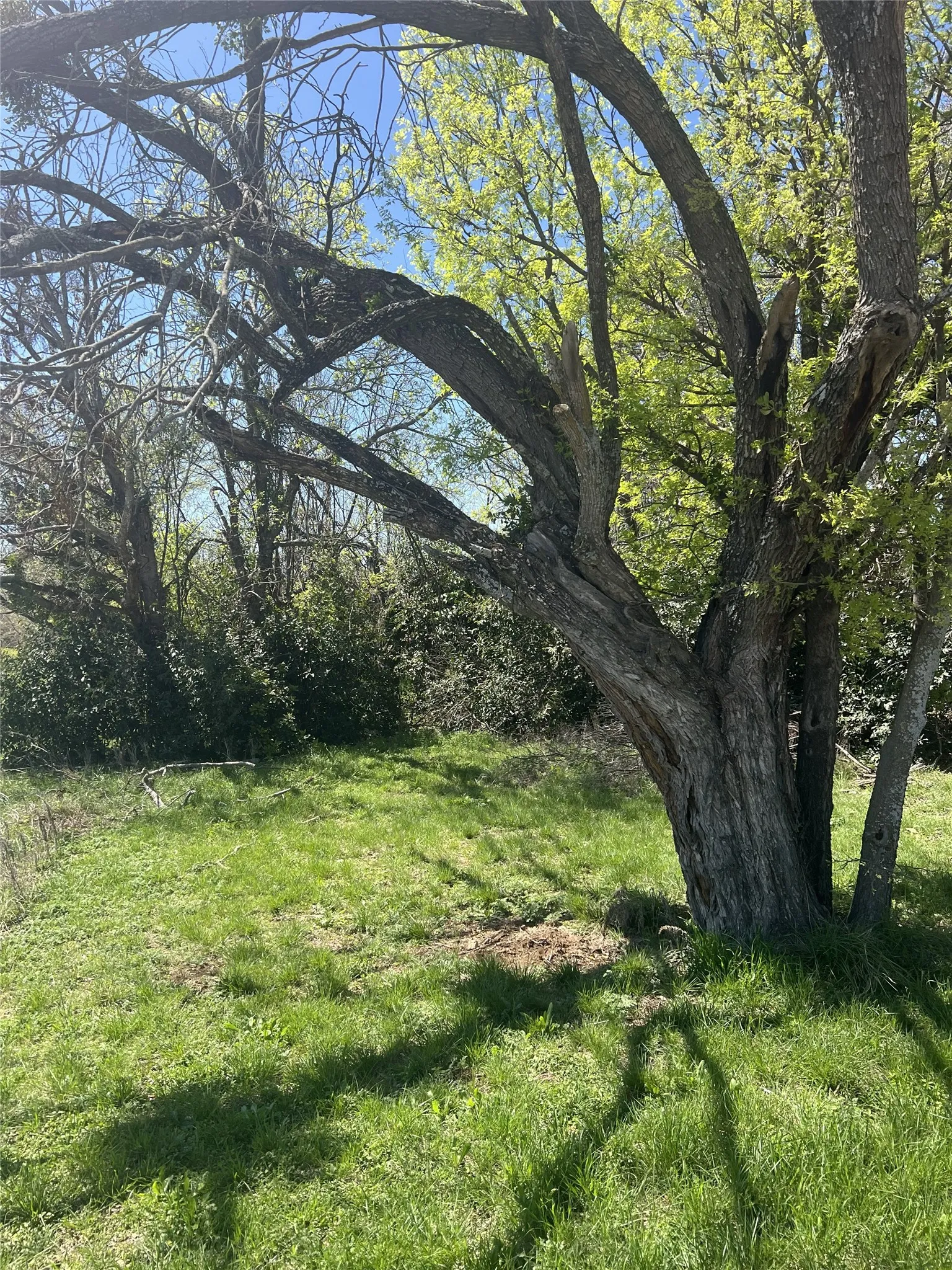 Improved Land For Sale in Brown County , 2312 Main Blvd, Brownwood, Texas 76801, 0, 0, Garage spaces, 0 Sqft, built in 0, Price $84,900, mls#21214372, Real Estate Agent in Brownwood, Homes For Sale in Brown county, Homes For Sale in Brownwood, Realtor in Brownwood Texas, Real Estate Brokerage Independent Realty Texas, Luminita Cordes Realtor