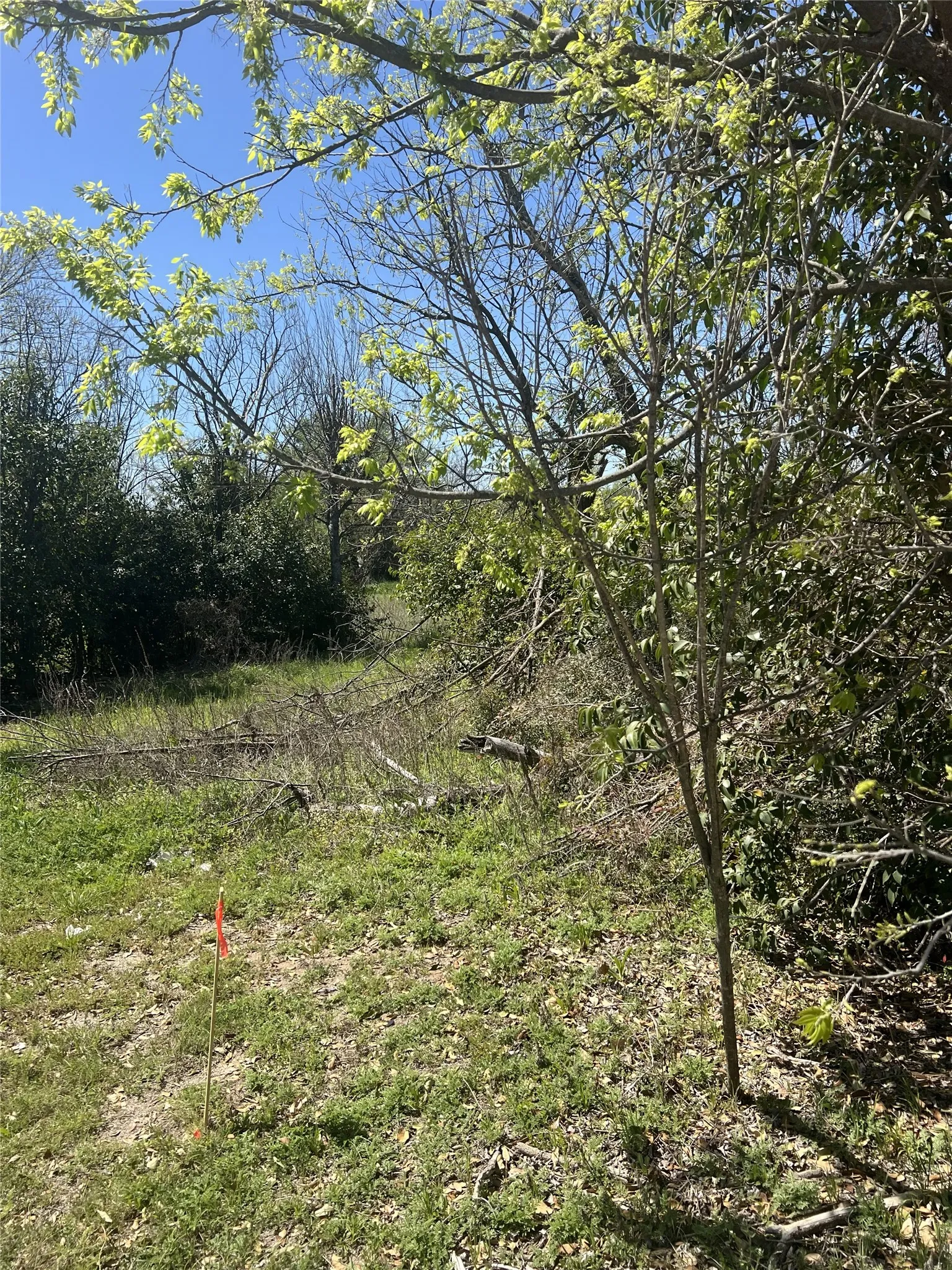 Improved Land For Sale in Brown County , 2312 Main Blvd, Brownwood, Texas 76801, 0, 0, Garage spaces, 0 Sqft, built in 0, Price $84,900, mls#21214372, Real Estate Agent in Brownwood, Homes For Sale in Brown county, Homes For Sale in Brownwood, Realtor in Brownwood Texas, Real Estate Brokerage Independent Realty Texas, Luminita Cordes Realtor