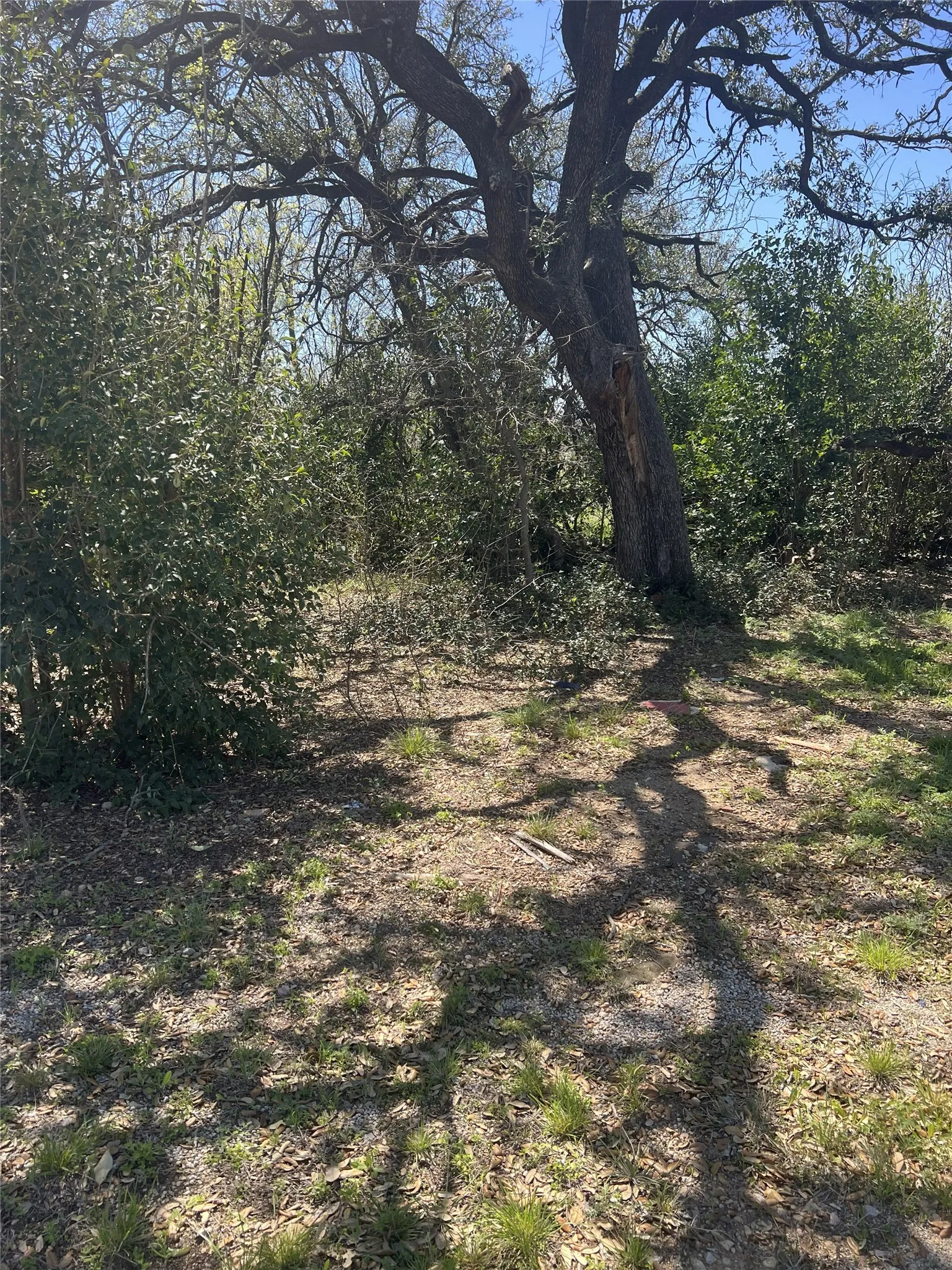 Improved Land For Sale in Brown County , 2312 Main Blvd, Brownwood, Texas 76801, 0, 0, Garage spaces, 0 Sqft, built in 0, Price $84,900, mls#21214372, Real Estate Agent in Brownwood, Homes For Sale in Brown county, Homes For Sale in Brownwood, Realtor in Brownwood Texas, Real Estate Brokerage Independent Realty Texas, Luminita Cordes Realtor