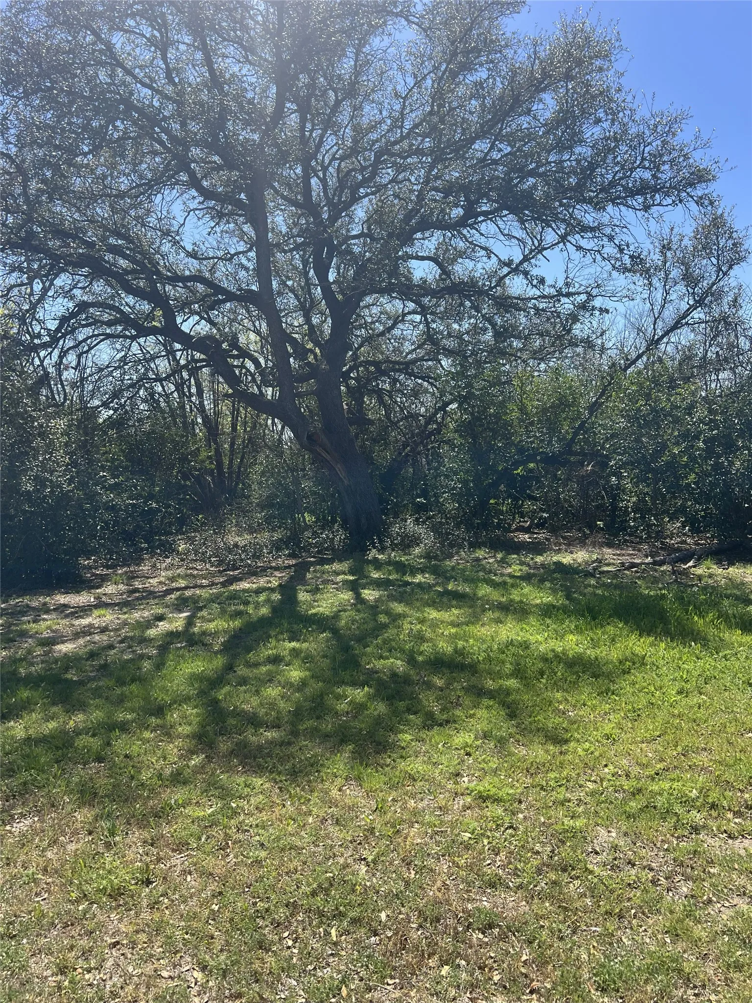 Improved Land For Sale in Brown County , 2312 Main Blvd, Brownwood, Texas 76801, 0, 0, Garage spaces, 0 Sqft, built in 0, Price $84,900, mls#21214372, Real Estate Agent in Brownwood, Homes For Sale in Brown county, Homes For Sale in Brownwood, Realtor in Brownwood Texas, Real Estate Brokerage Independent Realty Texas, Luminita Cordes Realtor