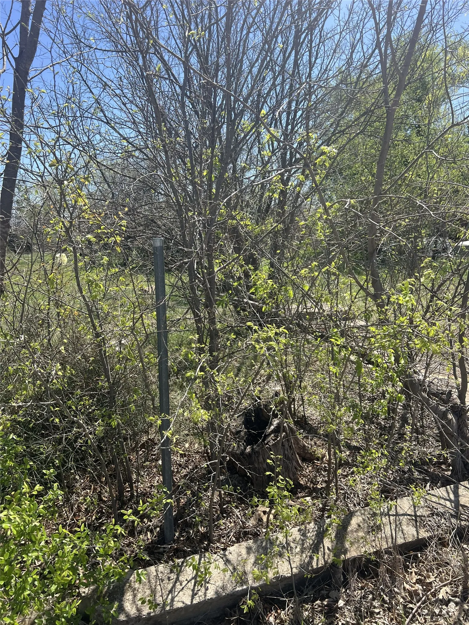 Improved Land For Sale in Brown County , 2312 Main Blvd, Brownwood, Texas 76801, 0, 0, Garage spaces, 0 Sqft, built in 0, Price $84,900, mls#21214372, Real Estate Agent in Brownwood, Homes For Sale in Brown county, Homes For Sale in Brownwood, Realtor in Brownwood Texas, Real Estate Brokerage Independent Realty Texas, Luminita Cordes Realtor