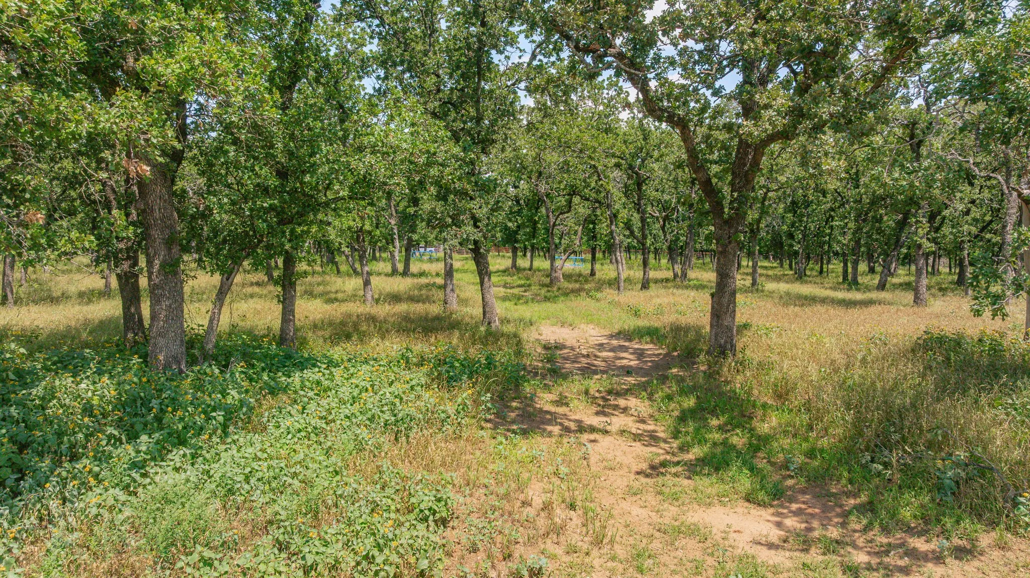 Single Family Residence For Sale in Erath County , 1375 County Road 253, Stephenville, Texas 76401, 3 Bedroom, 2 Bathroom, Garage spaces, 1,560 Sqft, built in 2023, Preowned, mls#21214468, Real Estate Agent in Stephenville, Homes For Sale in Erath county, Homes For Sale in Stephenville, Realtor in Stephenville Texas, Real Estate Brokerage Independent Realty Texas, Luminita Cordes Realtor