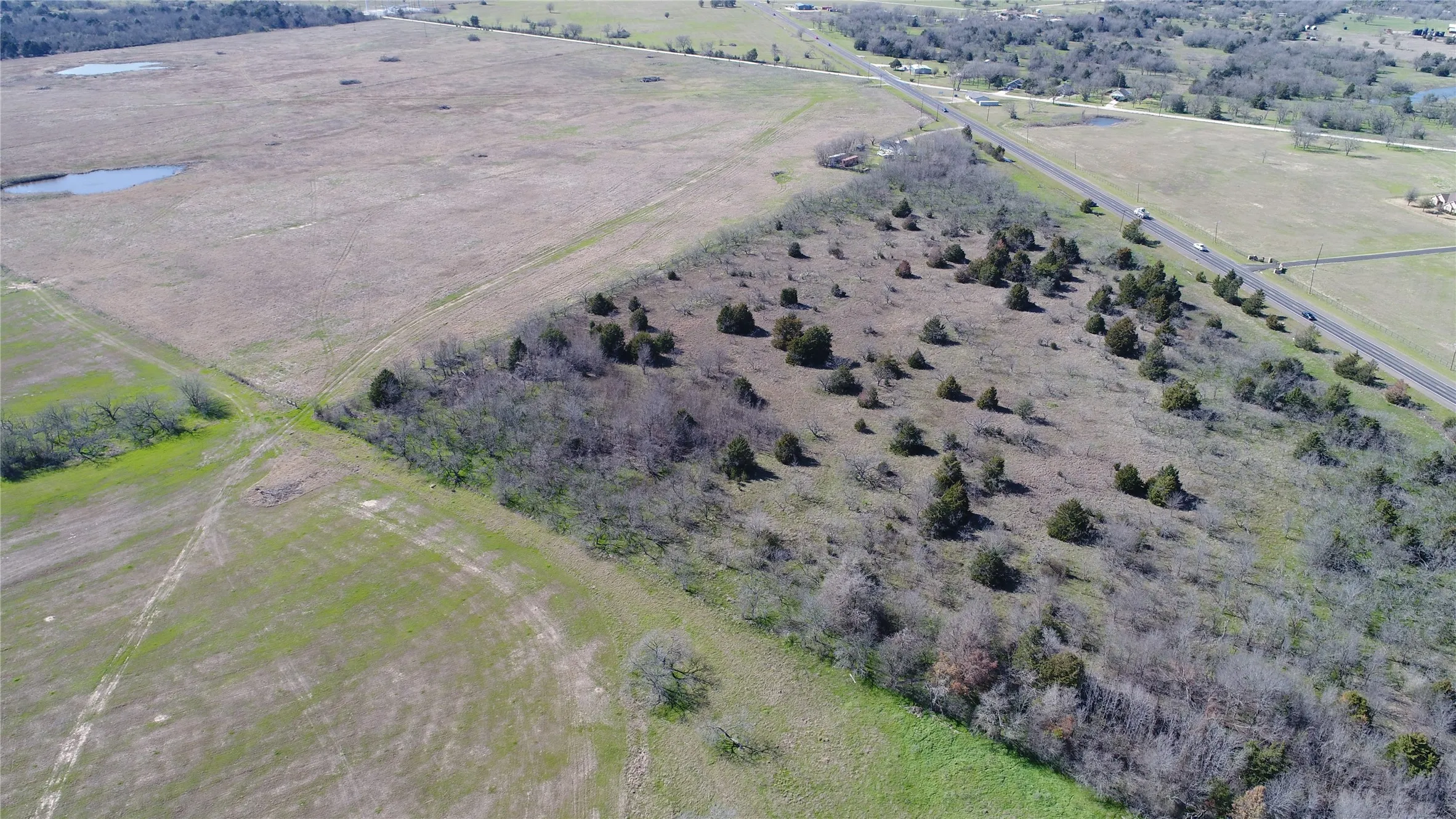 Unimproved Land For Sale in Navarro County , 18.58 Acres HWY 287, Mildred, Texas 75109, 0, 0, Garage spaces, 0 Sqft, built in 0, mls#21214515, Real Estate Agent in Mildred, Homes For Sale in Navarro county, Homes For Sale in Mildred, Realtor in Mildred Texas, Real Estate Brokerage Independent Realty Texas, Luminita Cordes Realtor