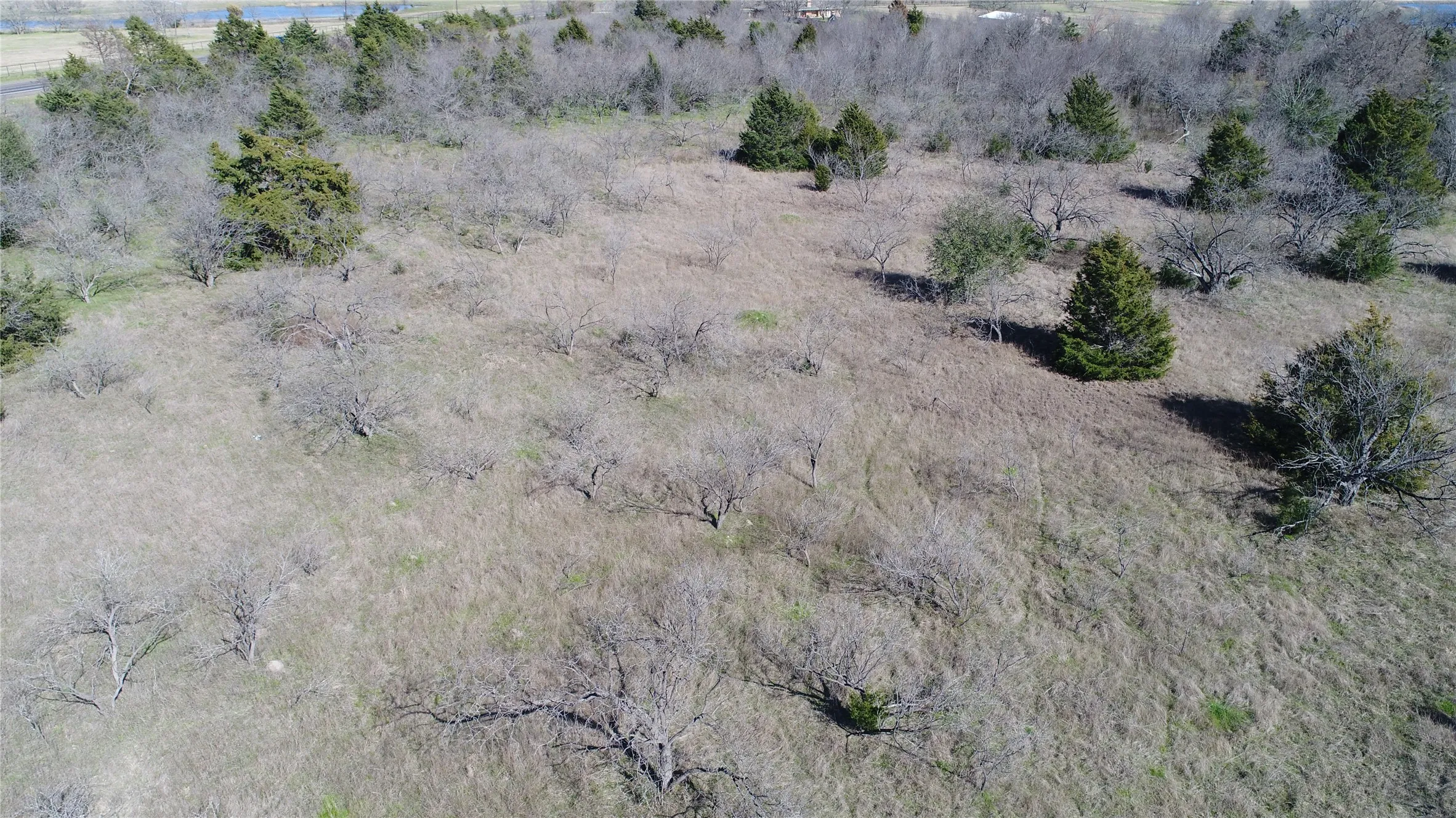 Unimproved Land For Sale in Navarro County , 18.58 Acres HWY 287, Mildred, Texas 75109, 0, 0, Garage spaces, 0 Sqft, built in 0, mls#21214515, Real Estate Agent in Mildred, Homes For Sale in Navarro county, Homes For Sale in Mildred, Realtor in Mildred Texas, Real Estate Brokerage Independent Realty Texas, Luminita Cordes Realtor