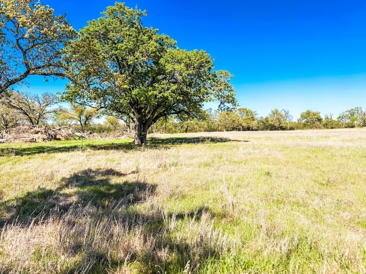 Unimproved Land For Sale in Freestone County , TBD Tract 4 County Road 930, Teague, Texas 75860, 0, 0, Garage spaces, 0 Sqft, built in 0, mls#21214517, Real Estate Agent in Teague, Homes For Sale in Freestone county, Homes For Sale in Teague, Realtor in Teague Texas, Real Estate Brokerage Independent Realty Texas, Luminita Cordes Realtor