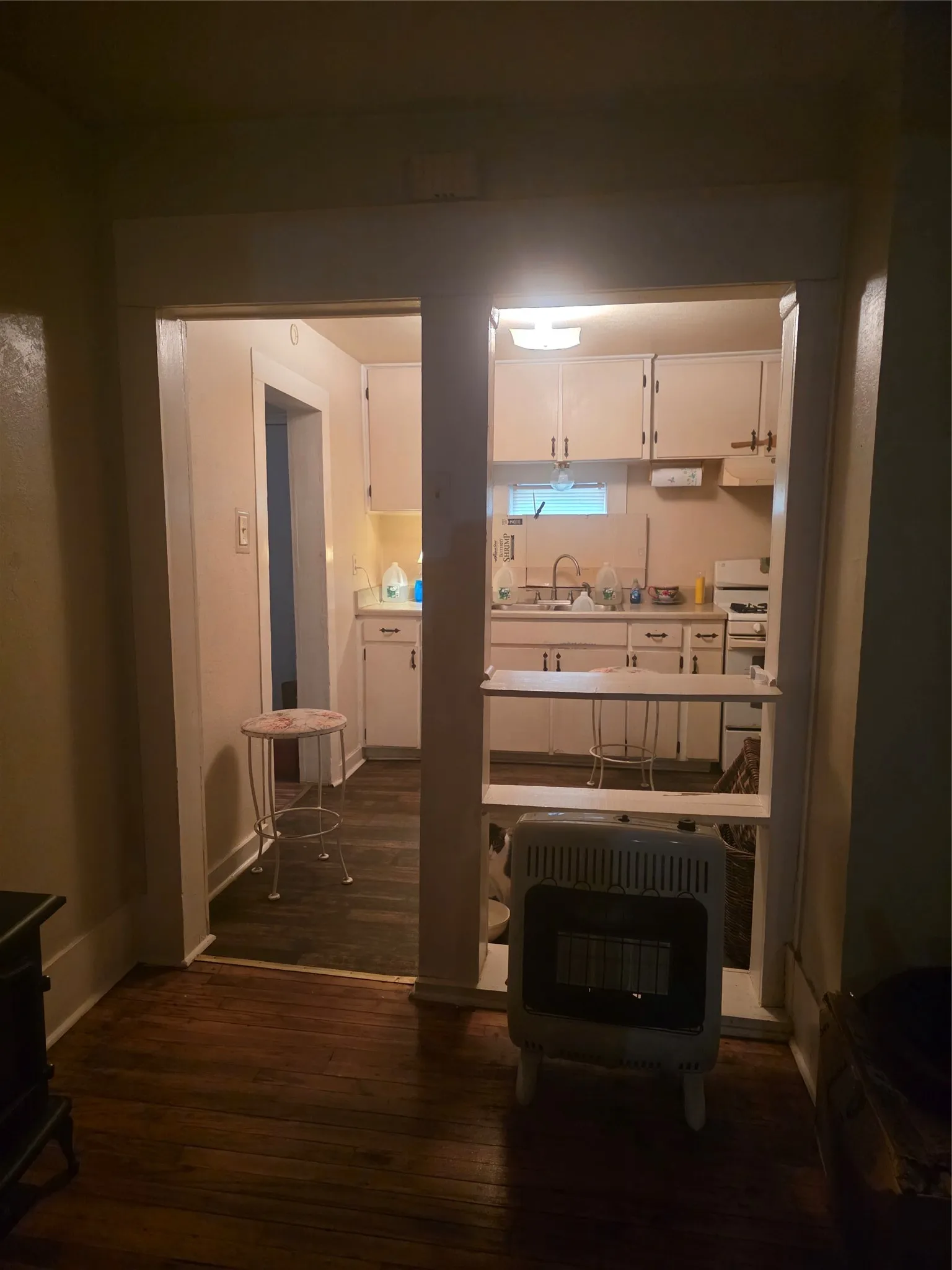 Looking into Kitchen
