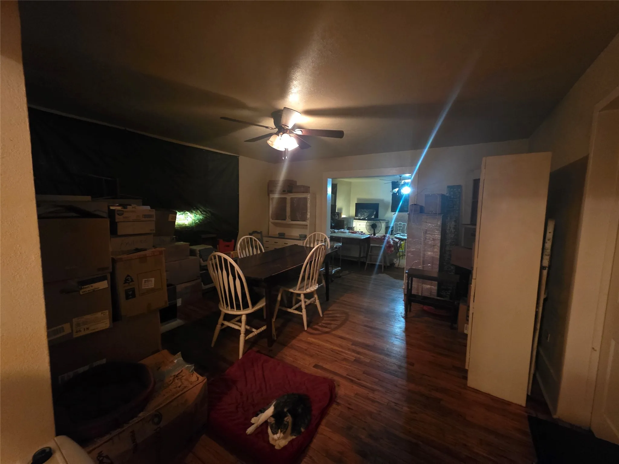 Single Family Residence For Sale in Johnson County , 401 W Wilson Street, Cleburne, Texas 76033, 2 Bedroom, 1 Bathroom, Garage spaces, 1,299 Sqft, built in 0, Preowned, mls#21214430, Real Estate Agent in Cleburne, Homes For Sale in Johnson county, Homes For Sale in Cleburne, Realtor in Cleburne Texas, Real Estate Brokerage Independent Realty Texas, Luminita Cordes Realtor