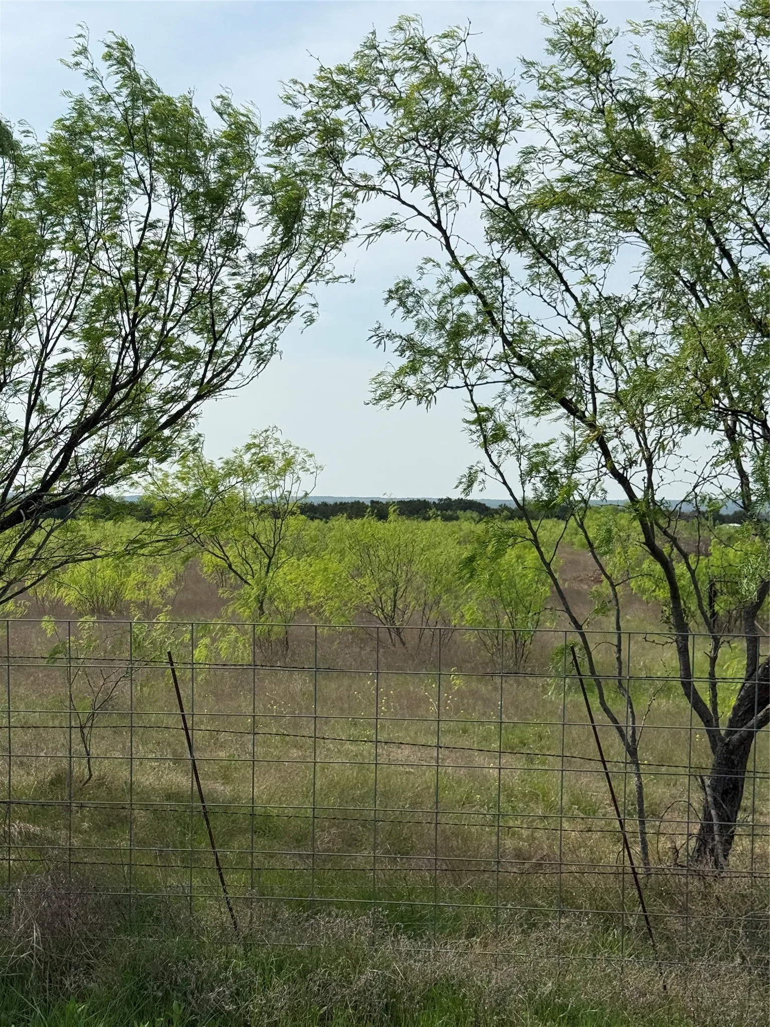 Unimproved Land For Sale in Palo Pinto County , TBD School House Road, Gordon, Texas 76453, 0, 0, Garage spaces, 0 Sqft, built in 0, mls#21214181, Real Estate Agent in Gordon, Homes For Sale in Palo Pinto county, Homes For Sale in Gordon, Realtor in Gordon Texas, Real Estate Brokerage Independent Realty Texas, Luminita Cordes Realtor