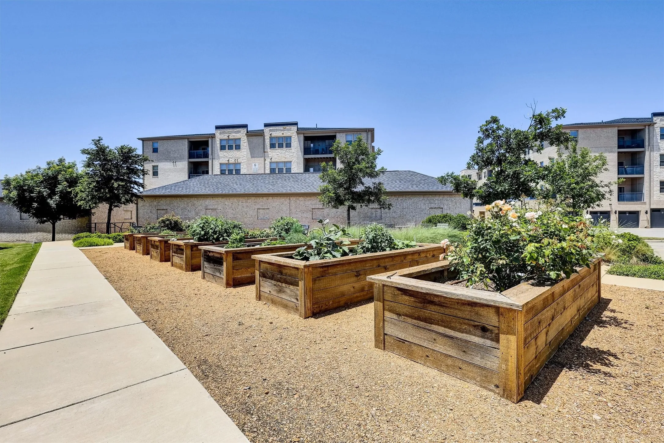 Raised Garden Beds