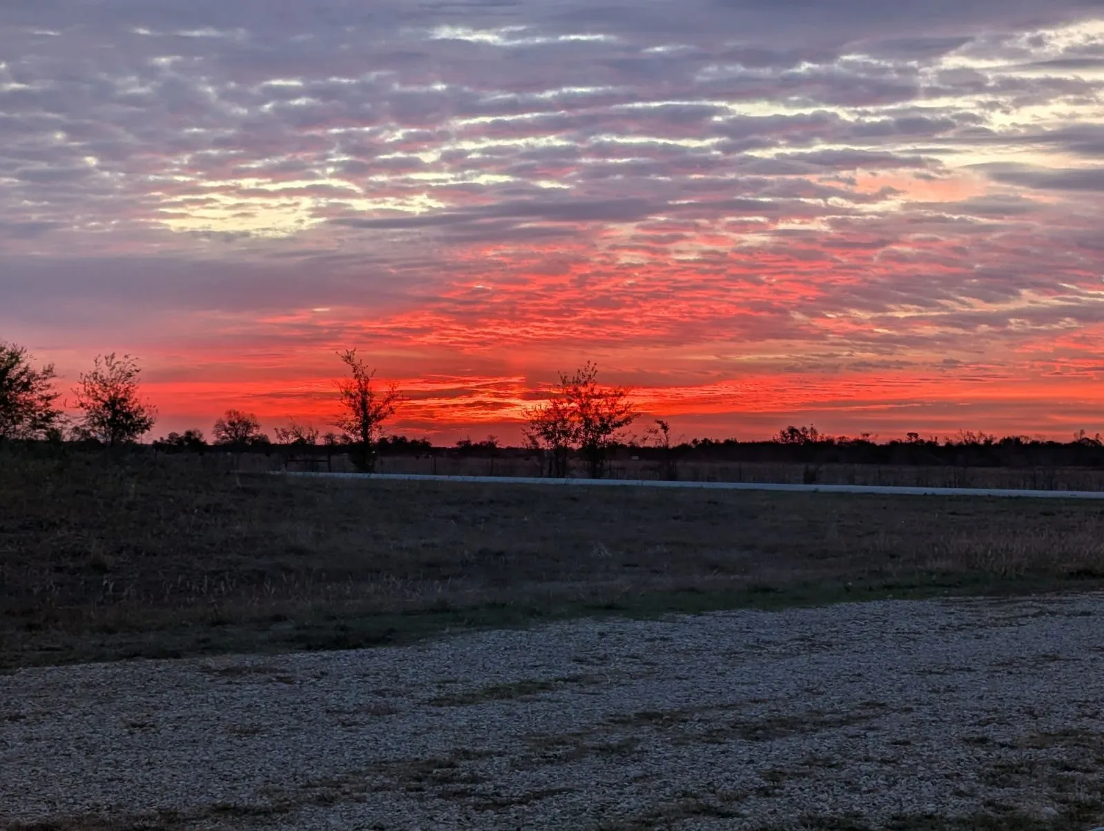 Improved Land For Sale in Falls County , 705 County Road 201, Marlin, Texas 76661, 0, 0, Garage spaces, 0 Sqft, built in 0, mls#21214526, Real Estate Agent in Marlin, Homes For Sale in Falls county, Homes For Sale in Marlin, Realtor in Marlin Texas, Real Estate Brokerage Independent Realty Texas, Luminita Cordes Realtor
