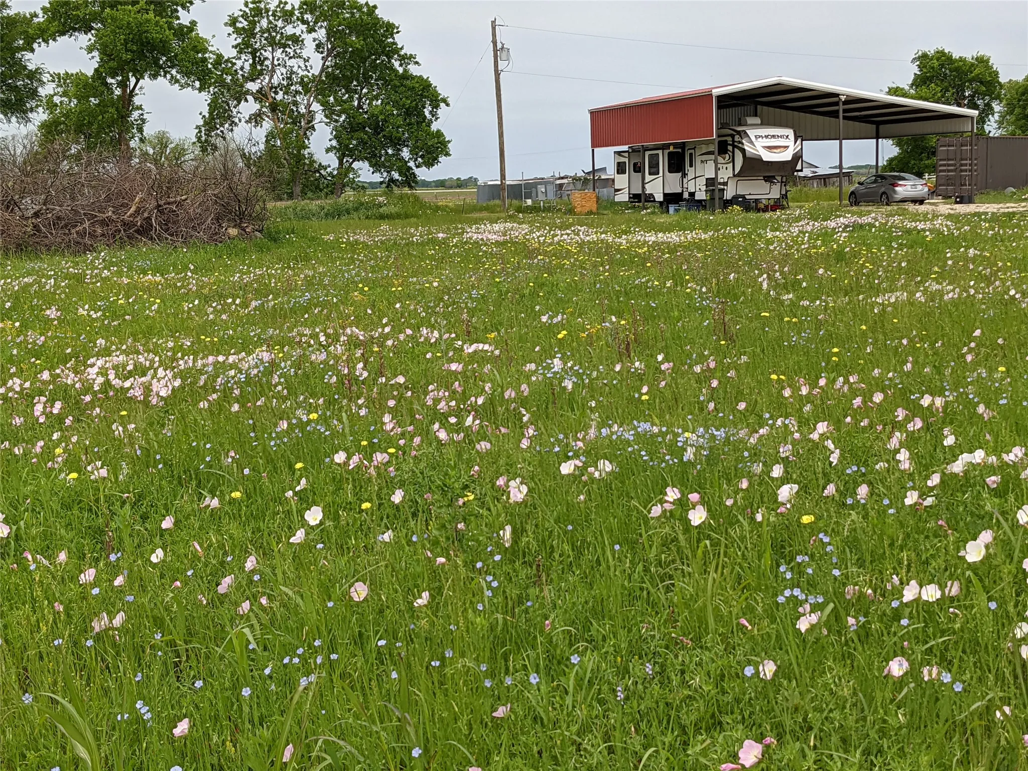 View of grassy yard