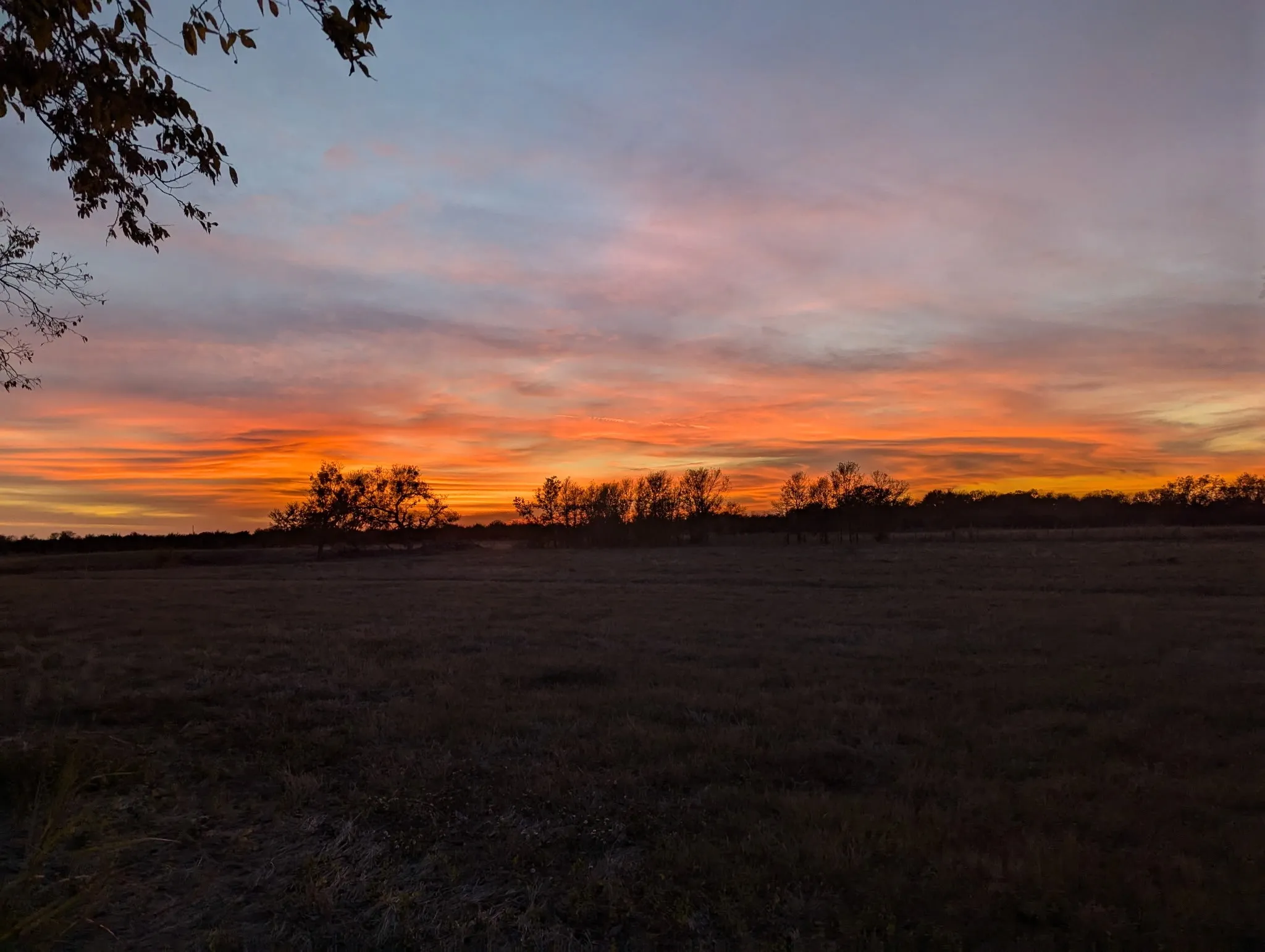 View of local wilderness