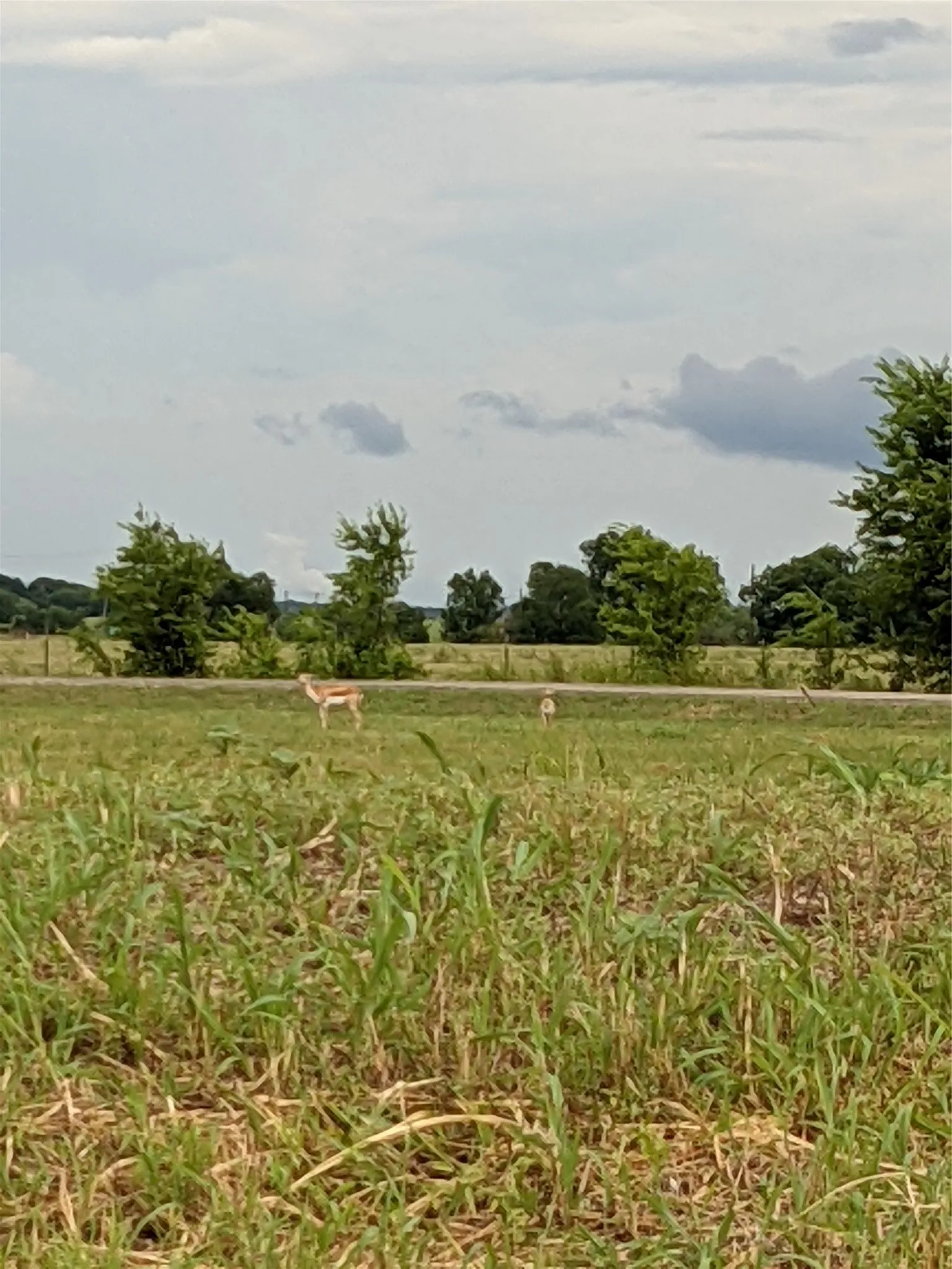 View of yard with a view of countryside