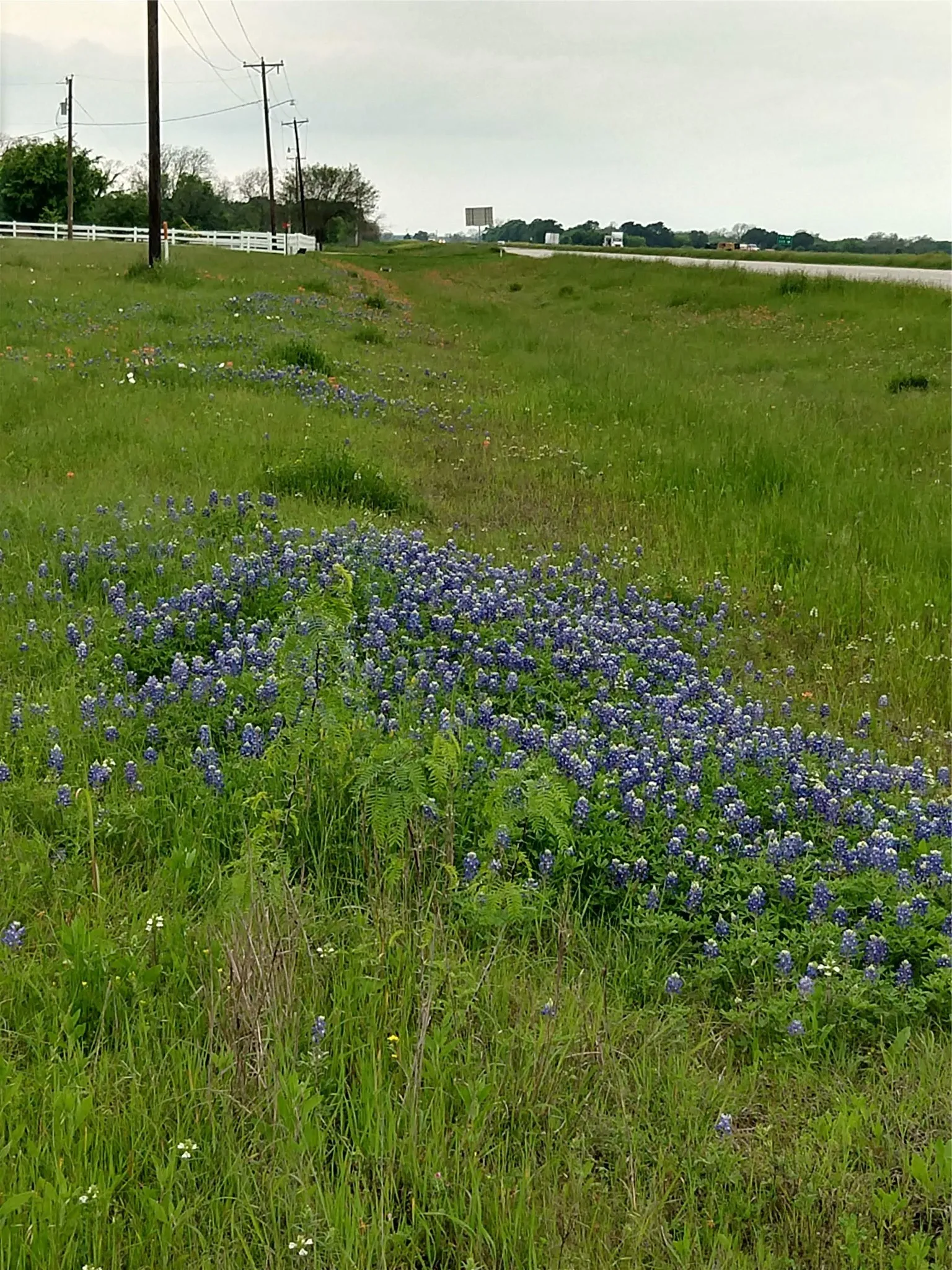 View of nature