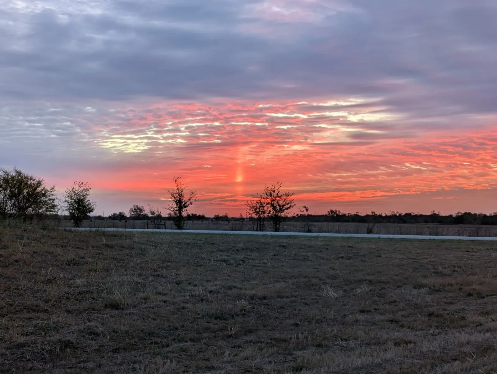 Improved Land For Sale in Falls County , 705 County Road 201, Marlin, Texas 76661, 0, 0, Garage spaces, 0 Sqft, built in 0, mls#21214526, Real Estate Agent in Marlin, Homes For Sale in Falls county, Homes For Sale in Marlin, Realtor in Marlin Texas, Real Estate Brokerage Independent Realty Texas, Luminita Cordes Realtor