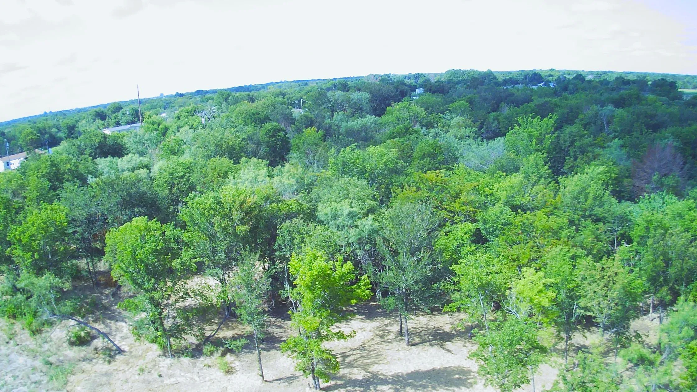 Unimproved Land For Sale in Navarro County , Lot 15 Edgewater Way, Corsicana, Texas 75109, 0, 0, Garage spaces, 0 Sqft, built in 0, mls#21214998, Real Estate Agent in Corsicana, Homes For Sale in Navarro county, Homes For Sale in Corsicana, Realtor in Corsicana Texas, Real Estate Brokerage Independent Realty Texas, Luminita Cordes Realtor
