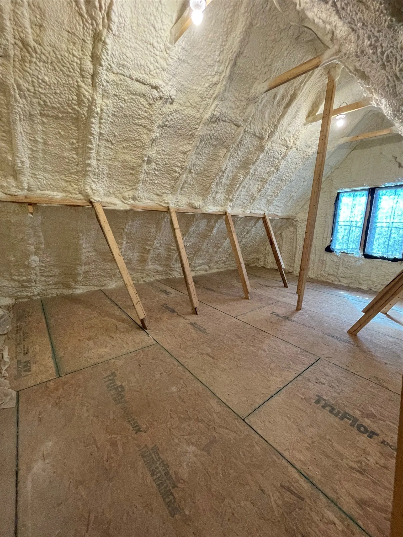 View of unfinished attic (Texas basement)
