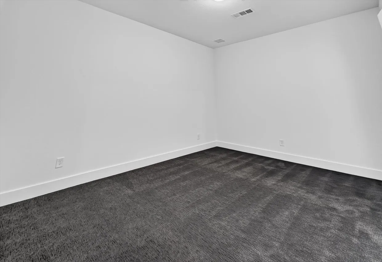 Entertainment Room