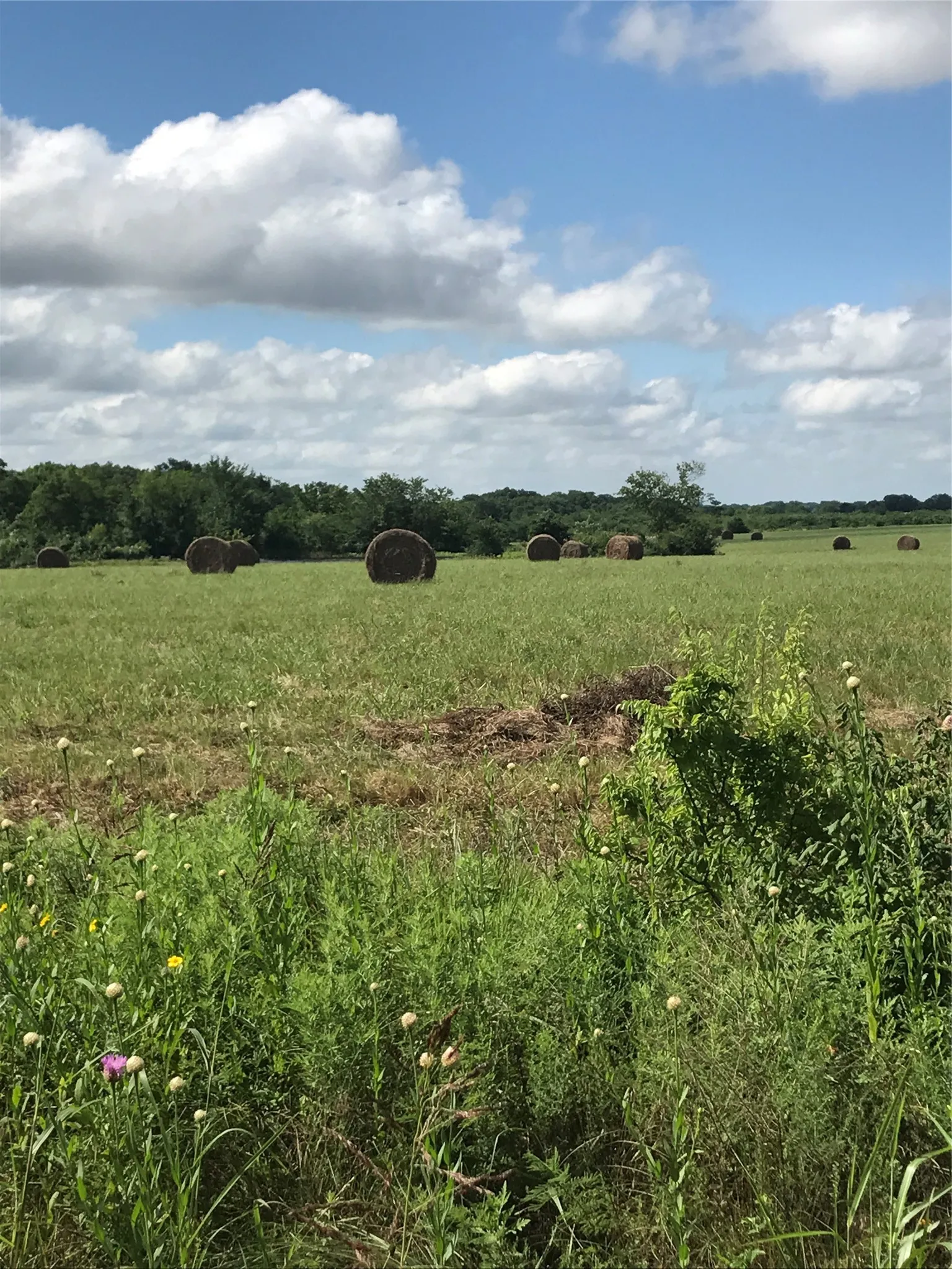 Ag Exempt Acreage