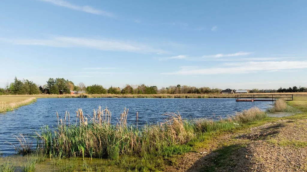 Improved Land For Sale in Lamar County , TBD PR 33082, Sumner, Texas 75486, 0, 0, Garage spaces, 0 Sqft, built in 0, mls#21214412, Real Estate Agent in Sumner, Homes For Sale in Lamar county, Homes For Sale in Sumner, Realtor in Sumner Texas, Real Estate Brokerage Independent Realty Texas, Luminita Cordes Realtor