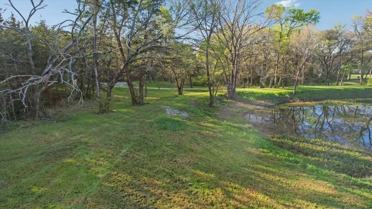 Road/path around pond