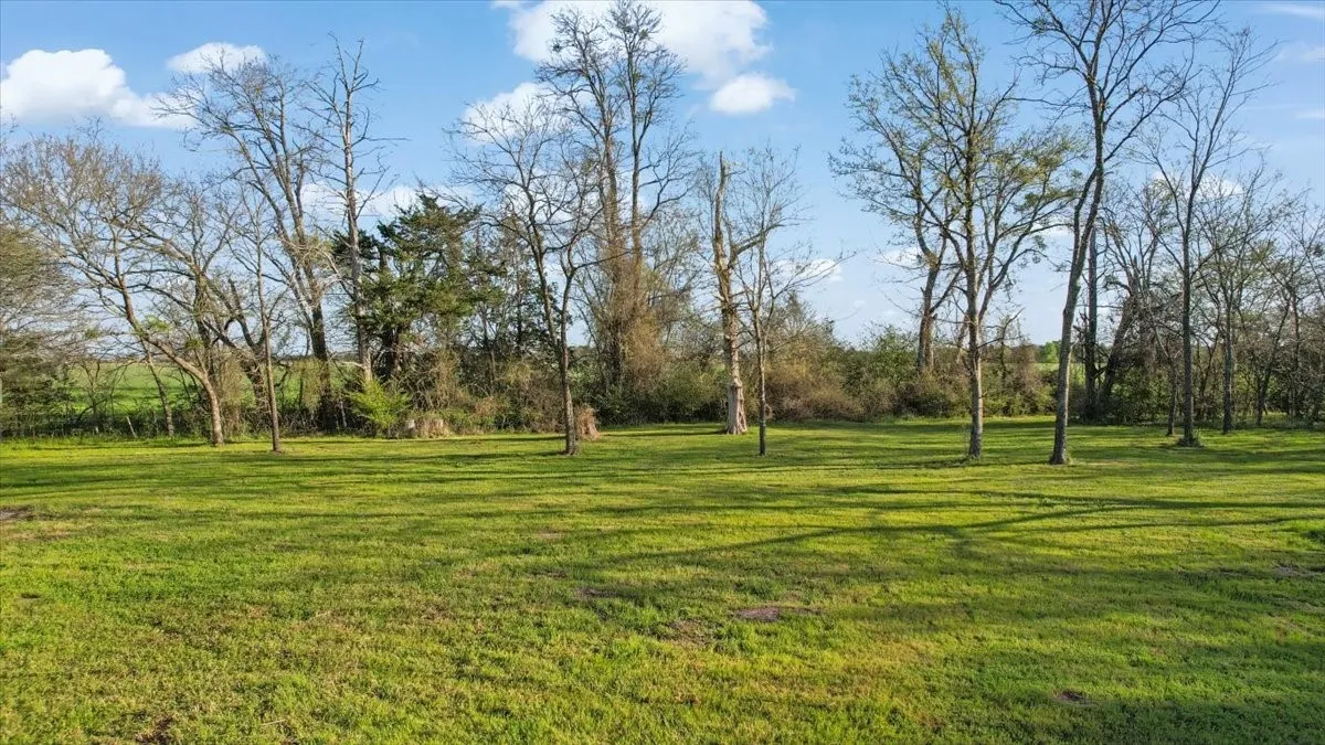 Open area for home site, lovely land!!