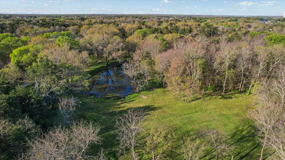 View from open area- perfect for home site overlooking pond