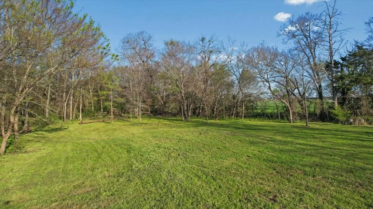 Open area for home site...Beautiful!