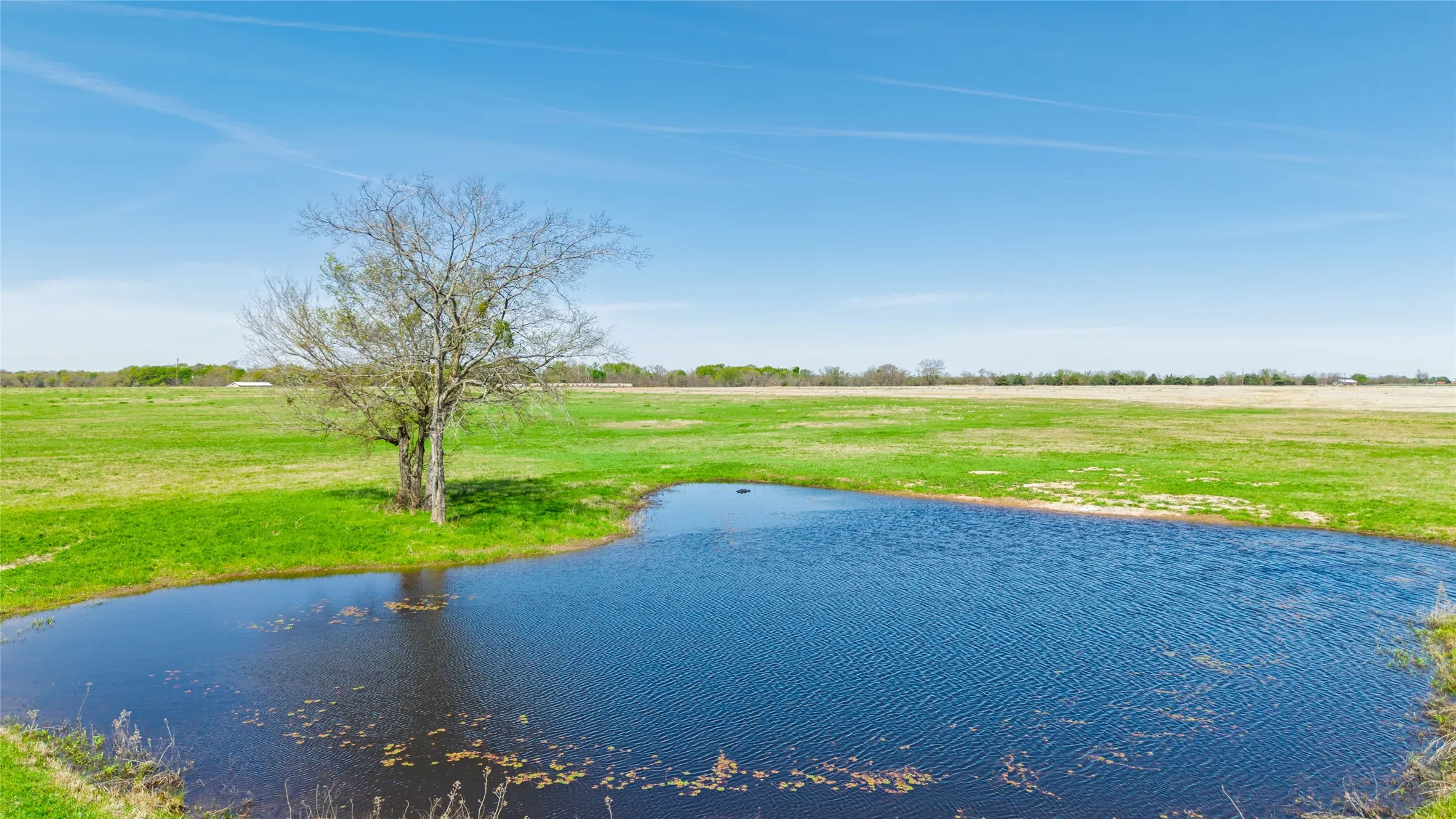 Water view featuring rural landscape