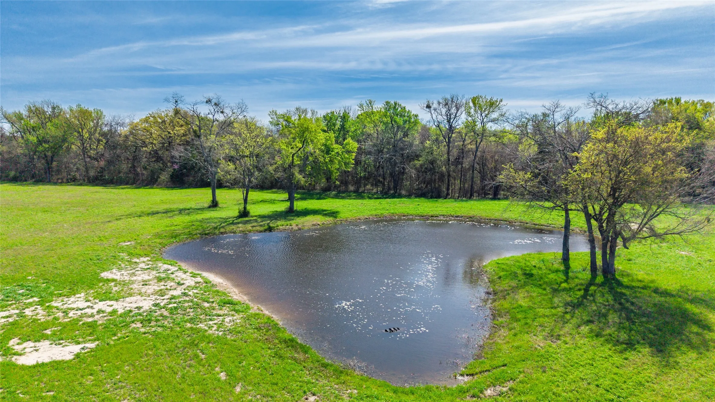 Water view