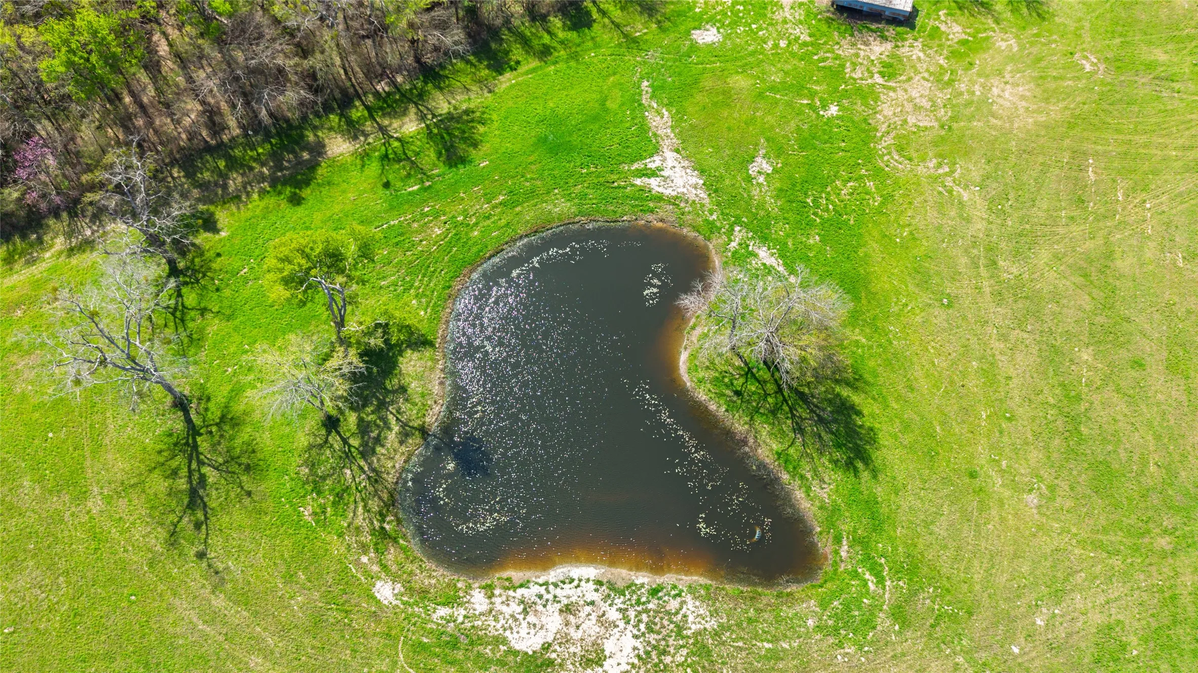 Drone / aerial view of a large body of water