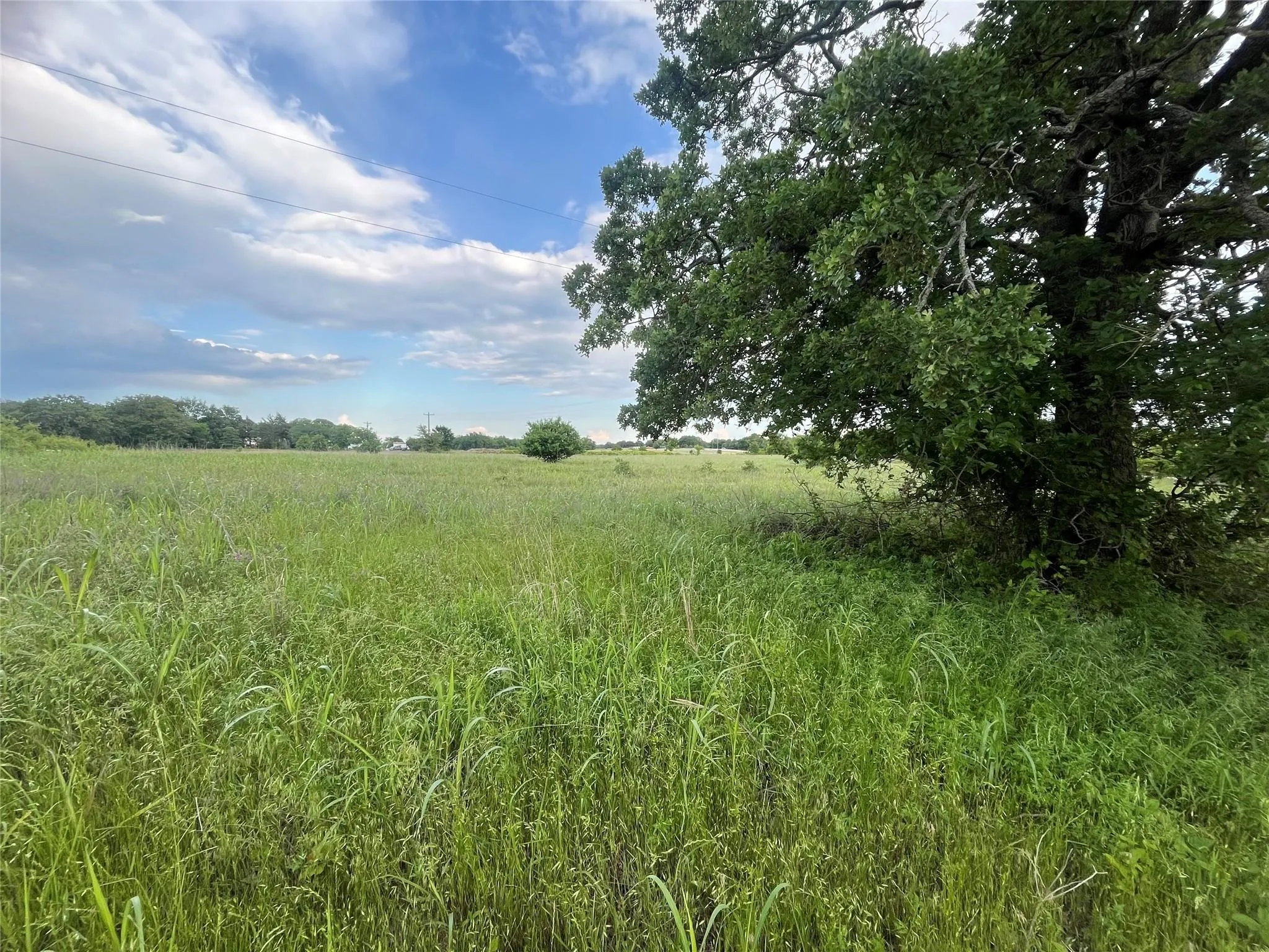 Unimproved Land For Sale in Montague County , 00 Tract 4 Fm 3043, Bowie, Texas 76230, 0, 0, Garage spaces, 0 Sqft, built in 0, mls#21215561, Real Estate Agent in Bowie, Homes For Sale in Montague county, Homes For Sale in Bowie, Realtor in Bowie Texas, Real Estate Brokerage Independent Realty Texas, Luminita Cordes Realtor