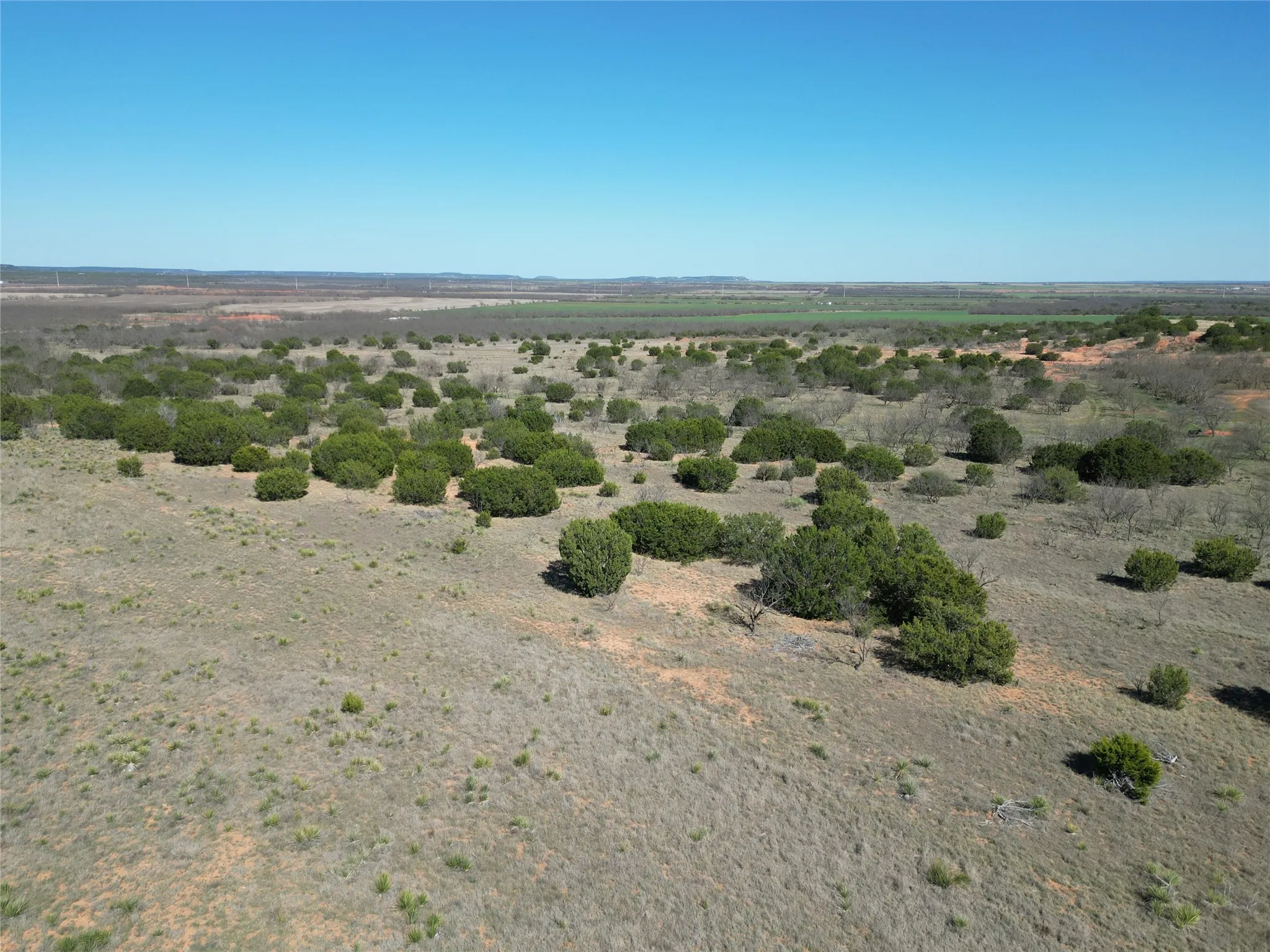 Ranch For Sale in Taylor County , TBD County Rd 206, Winters, Texas 79567, 0, 0, Garage spaces, 0 Sqft, built in 0, mls#21214872, Real Estate Agent in Winters, Homes For Sale in Taylor county, Homes For Sale in Winters, Realtor in Winters Texas, Real Estate Brokerage Independent Realty Texas, Luminita Cordes Realtor