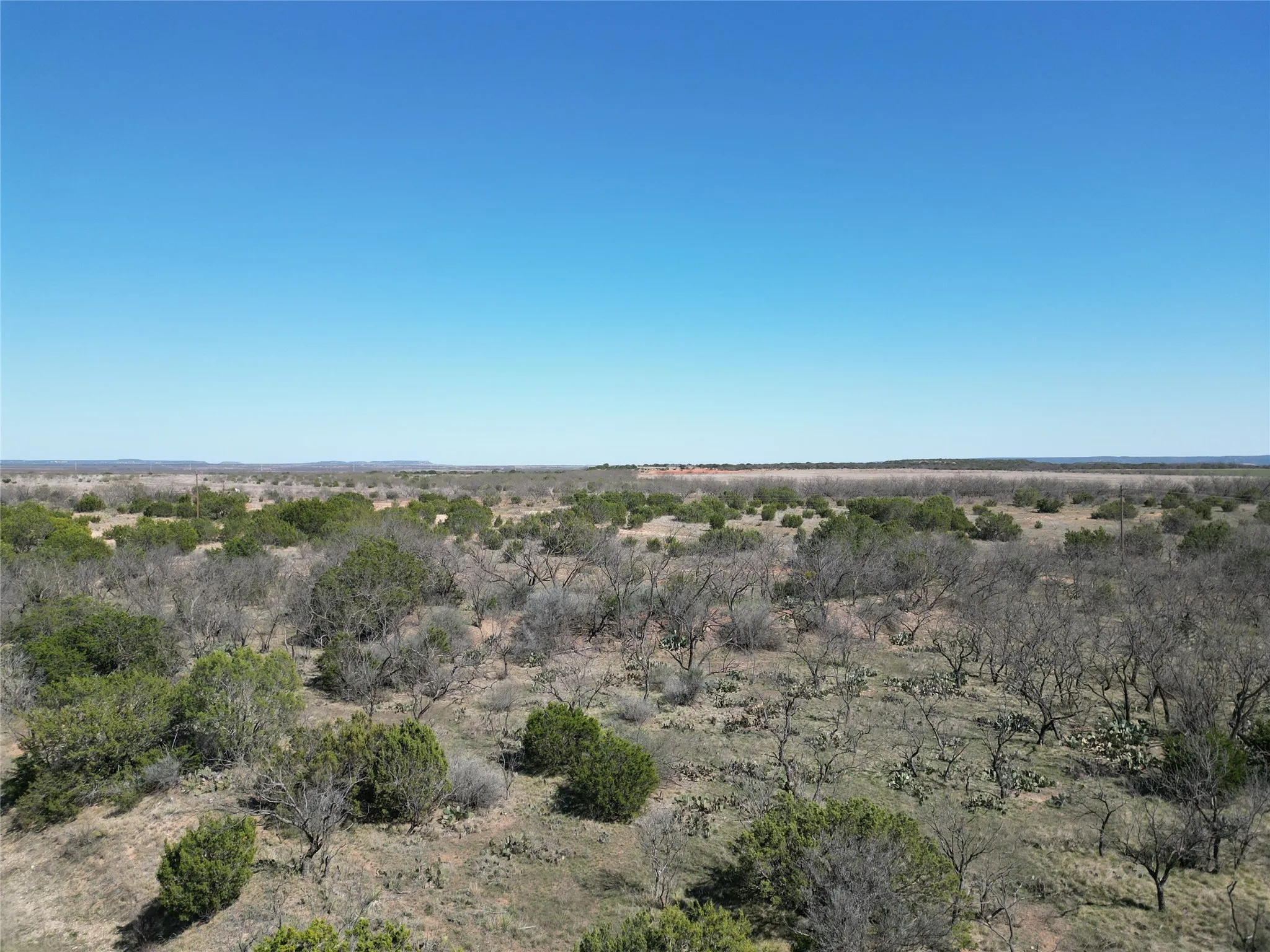 Ranch For Sale in Taylor County , TBD County Rd 206, Winters, Texas 79567, 0, 0, Garage spaces, 0 Sqft, built in 0, mls#21214872, Real Estate Agent in Winters, Homes For Sale in Taylor county, Homes For Sale in Winters, Realtor in Winters Texas, Real Estate Brokerage Independent Realty Texas, Luminita Cordes Realtor