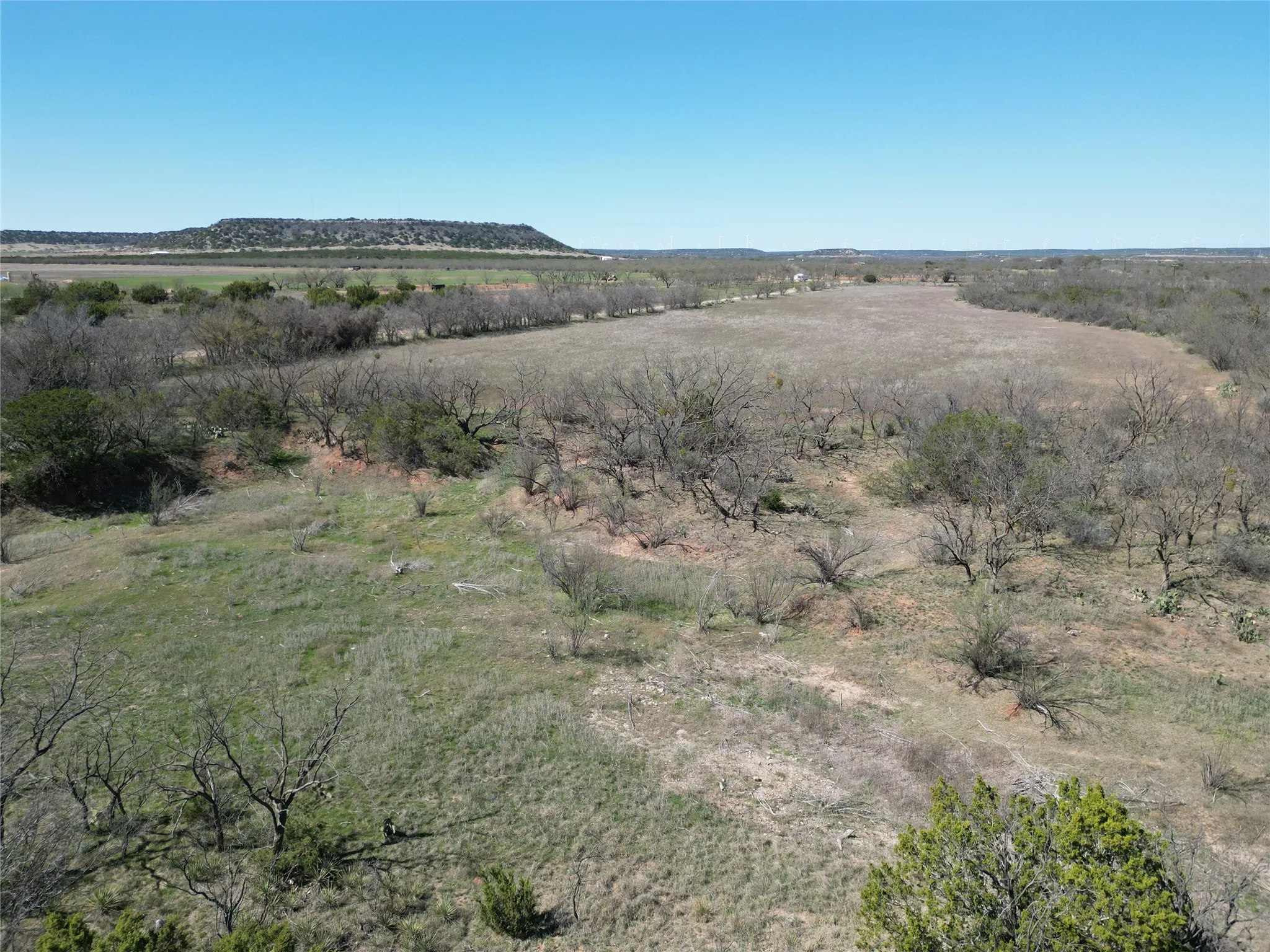 Ranch For Sale in Taylor County , TBD County Rd 206, Winters, Texas 79567, 0, 0, Garage spaces, 0 Sqft, built in 0, mls#21214872, Real Estate Agent in Winters, Homes For Sale in Taylor county, Homes For Sale in Winters, Realtor in Winters Texas, Real Estate Brokerage Independent Realty Texas, Luminita Cordes Realtor