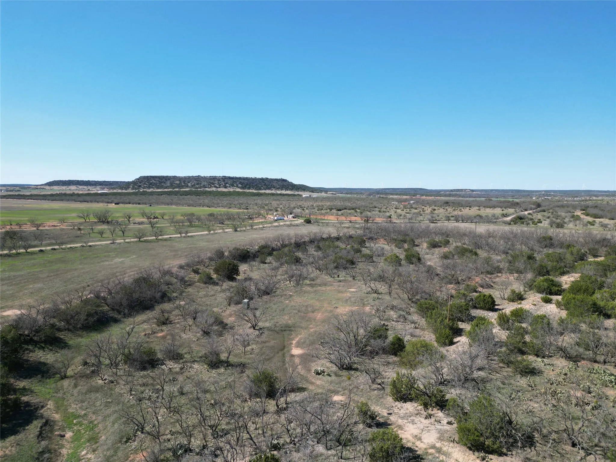 Ranch For Sale in Taylor County , TBD County Rd 206, Winters, Texas 79567, 0, 0, Garage spaces, 0 Sqft, built in 0, mls#21214872, Real Estate Agent in Winters, Homes For Sale in Taylor county, Homes For Sale in Winters, Realtor in Winters Texas, Real Estate Brokerage Independent Realty Texas, Luminita Cordes Realtor