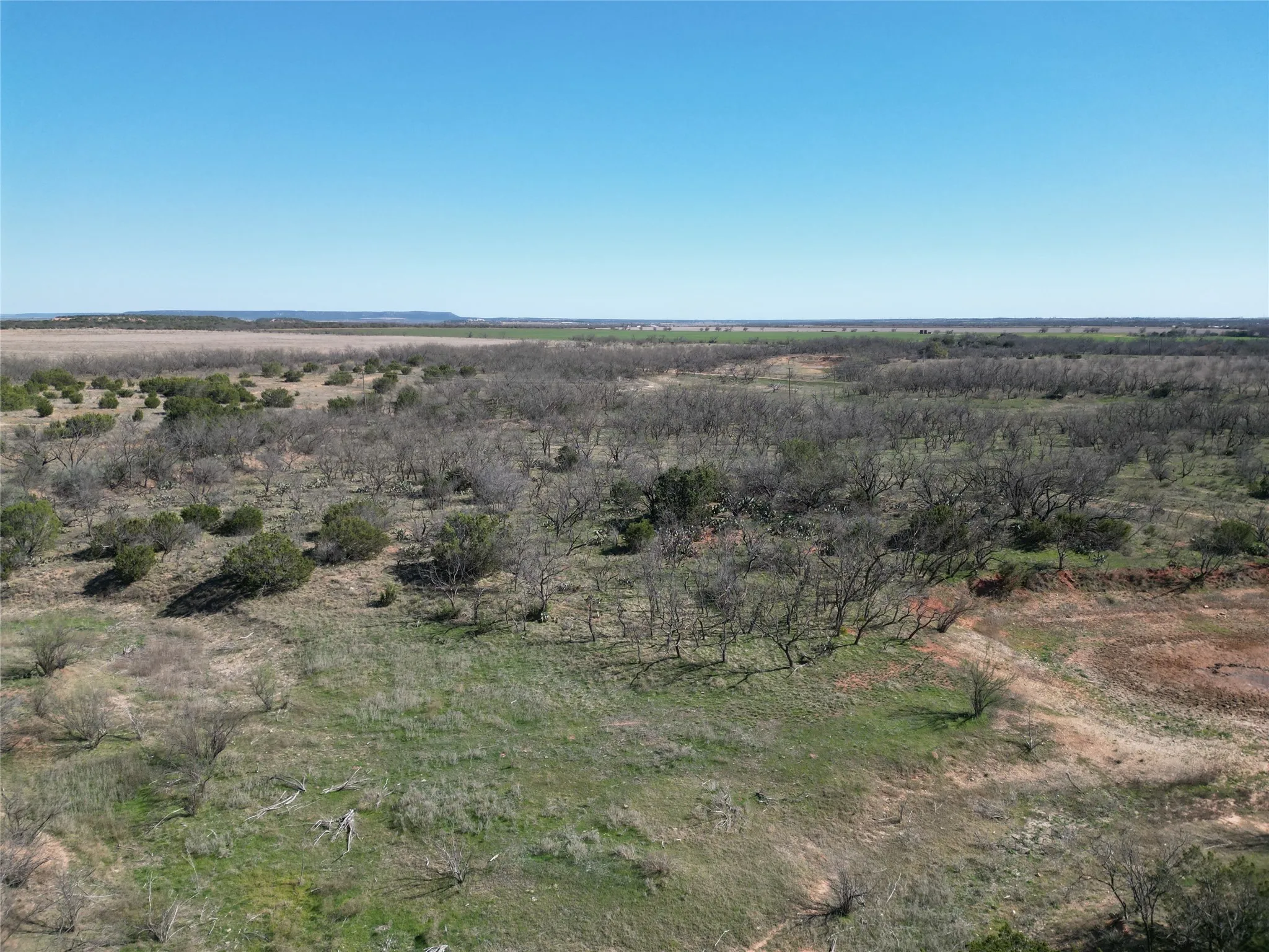 Ranch For Sale in Taylor County , TBD County Rd 206, Winters, Texas 79567, 0, 0, Garage spaces, 0 Sqft, built in 0, mls#21214872, Real Estate Agent in Winters, Homes For Sale in Taylor county, Homes For Sale in Winters, Realtor in Winters Texas, Real Estate Brokerage Independent Realty Texas, Luminita Cordes Realtor