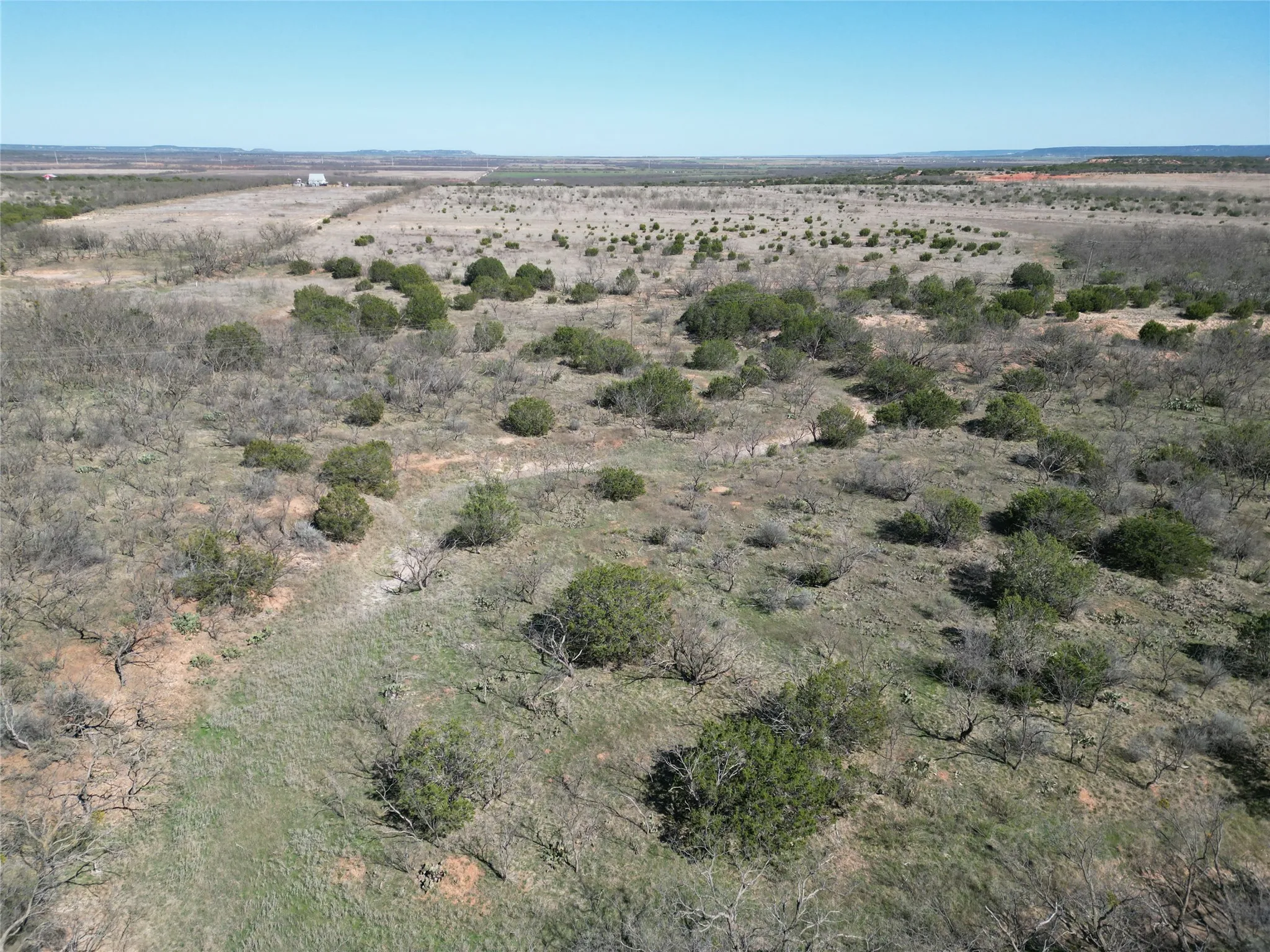 Ranch For Sale in Taylor County , TBD County Rd 206, Winters, Texas 79567, 0, 0, Garage spaces, 0 Sqft, built in 0, mls#21214872, Real Estate Agent in Winters, Homes For Sale in Taylor county, Homes For Sale in Winters, Realtor in Winters Texas, Real Estate Brokerage Independent Realty Texas, Luminita Cordes Realtor