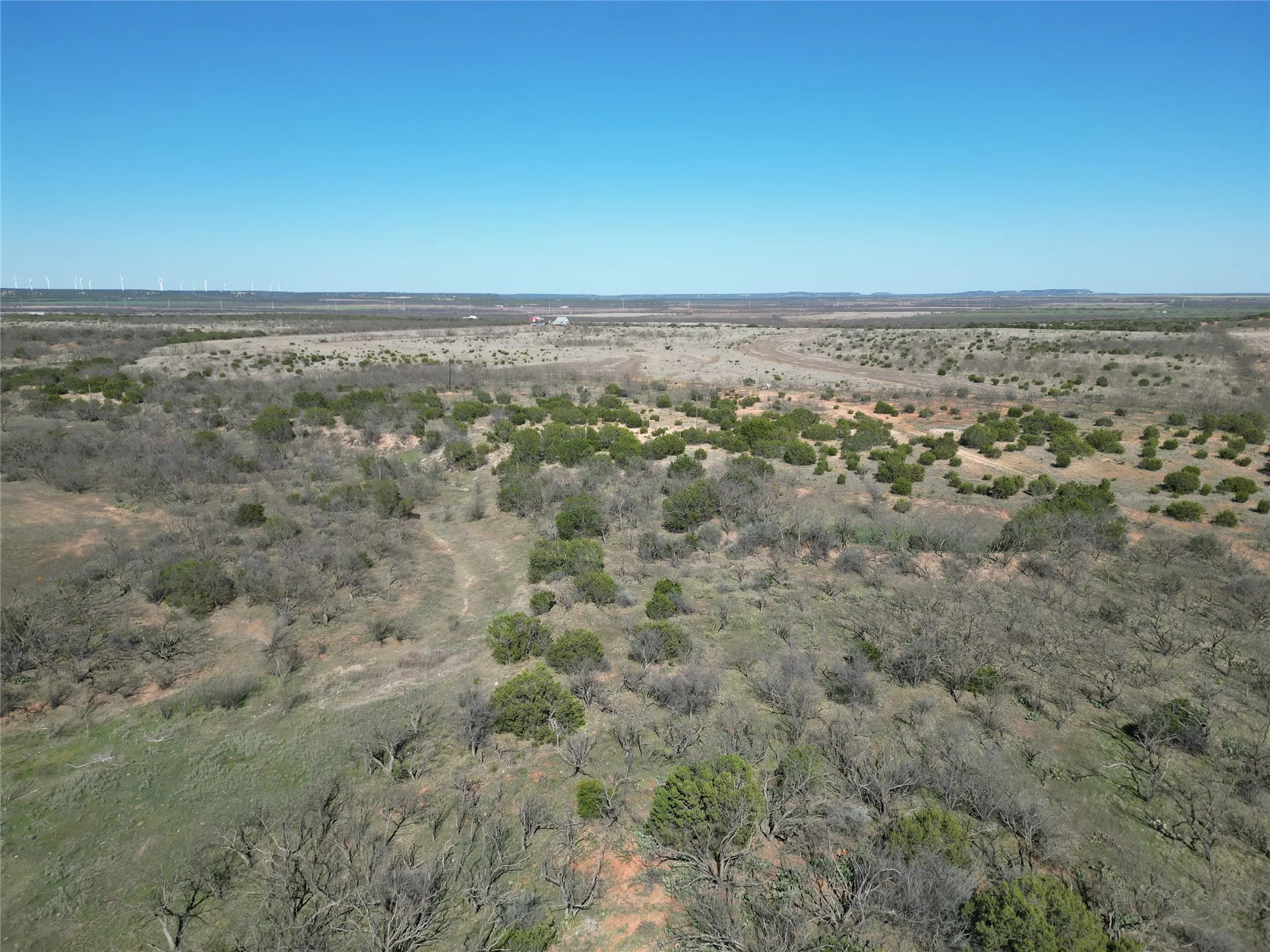 Ranch For Sale in Taylor County , TBD County Rd 206, Winters, Texas 79567, 0, 0, Garage spaces, 0 Sqft, built in 0, mls#21214872, Real Estate Agent in Winters, Homes For Sale in Taylor county, Homes For Sale in Winters, Realtor in Winters Texas, Real Estate Brokerage Independent Realty Texas, Luminita Cordes Realtor
