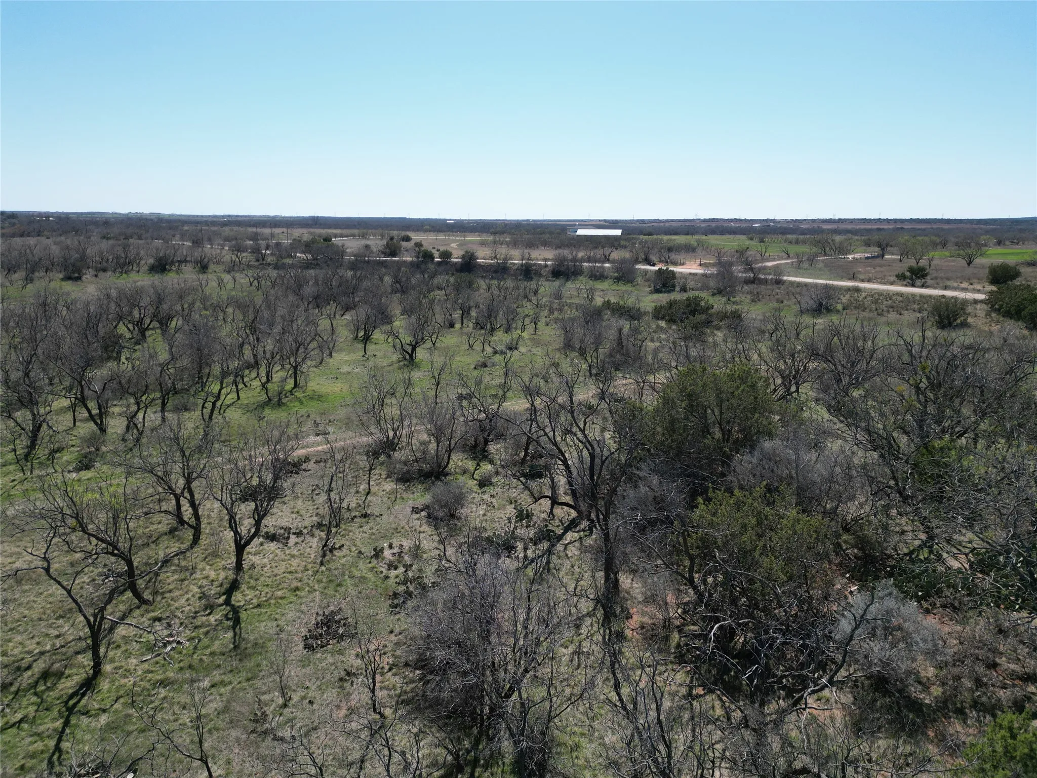 Ranch For Sale in Taylor County , TBD County Rd 206, Winters, Texas 79567, 0, 0, Garage spaces, 0 Sqft, built in 0, mls#21214872, Real Estate Agent in Winters, Homes For Sale in Taylor county, Homes For Sale in Winters, Realtor in Winters Texas, Real Estate Brokerage Independent Realty Texas, Luminita Cordes Realtor