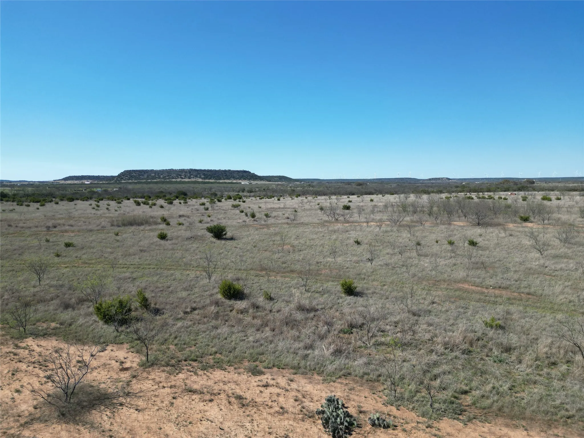 Ranch For Sale in Taylor County , TBD County Rd 206, Winters, Texas 79567, 0, 0, Garage spaces, 0 Sqft, built in 0, mls#21214872, Real Estate Agent in Winters, Homes For Sale in Taylor county, Homes For Sale in Winters, Realtor in Winters Texas, Real Estate Brokerage Independent Realty Texas, Luminita Cordes Realtor