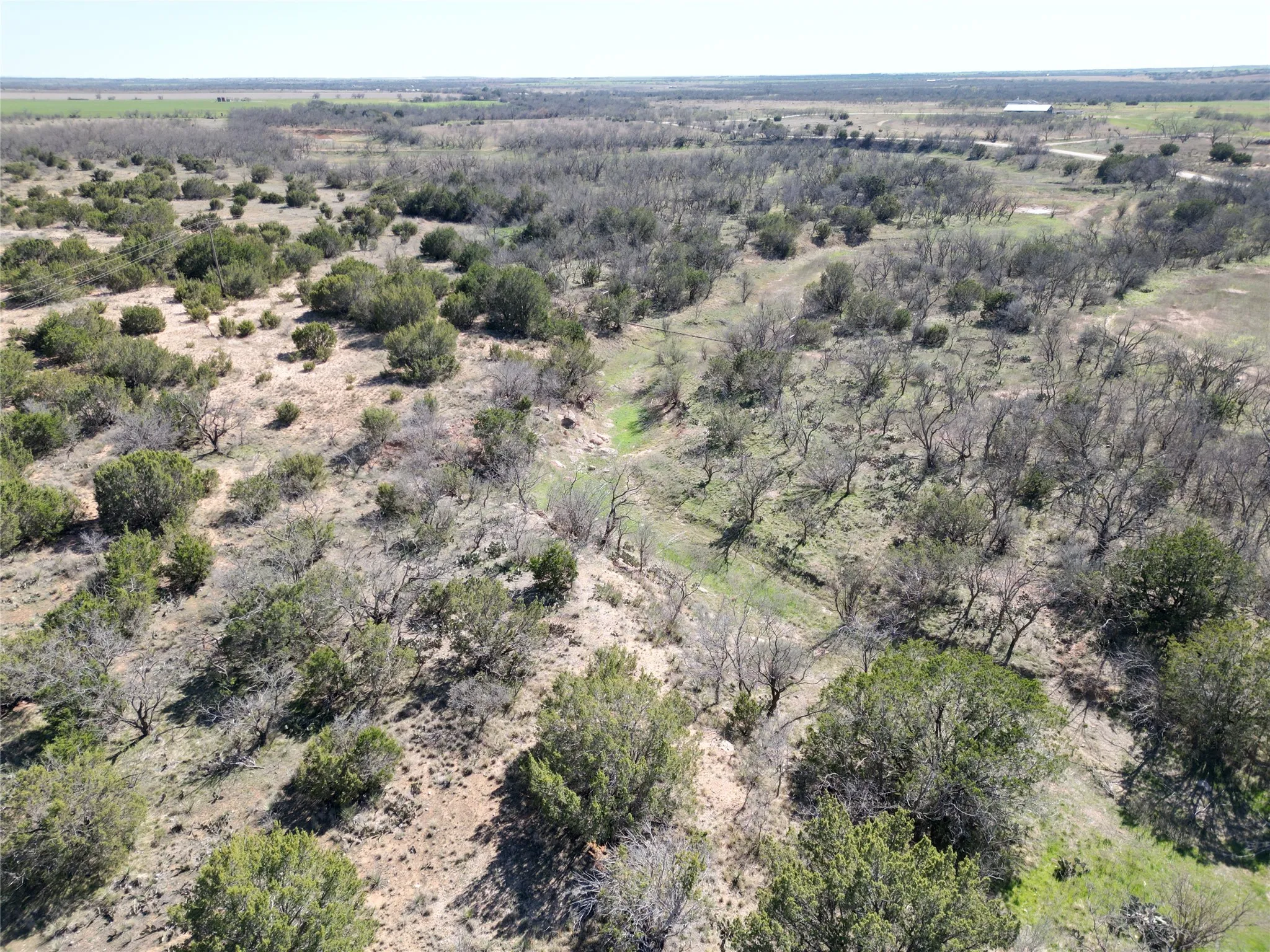 Ranch For Sale in Taylor County , TBD County Rd 206, Winters, Texas 79567, 0, 0, Garage spaces, 0 Sqft, built in 0, mls#21214872, Real Estate Agent in Winters, Homes For Sale in Taylor county, Homes For Sale in Winters, Realtor in Winters Texas, Real Estate Brokerage Independent Realty Texas, Luminita Cordes Realtor