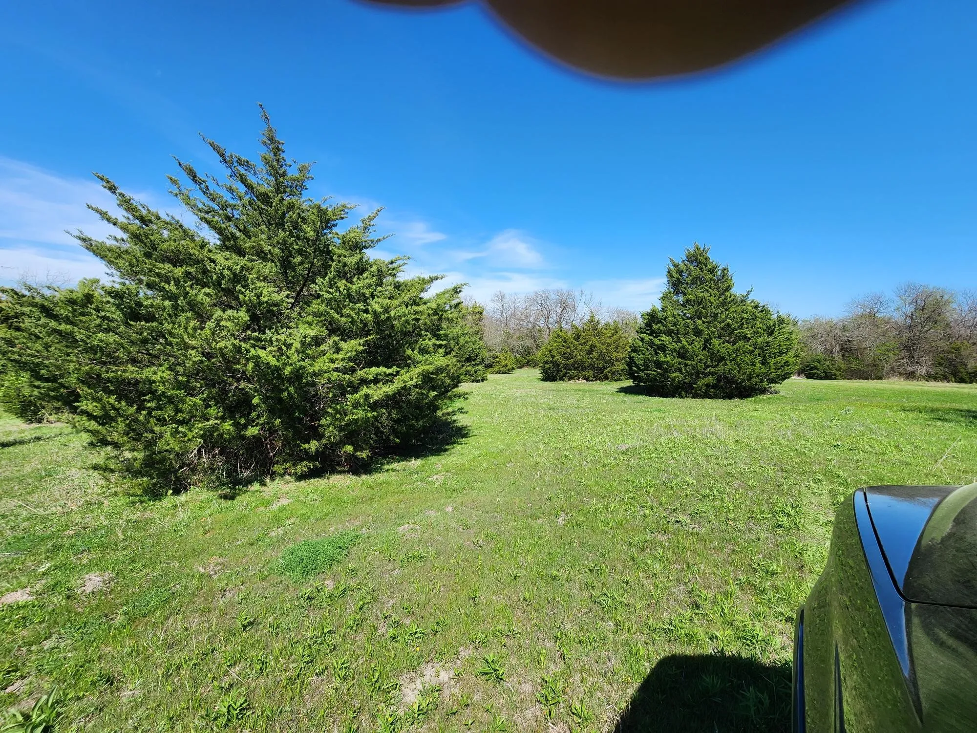 View of green lawn