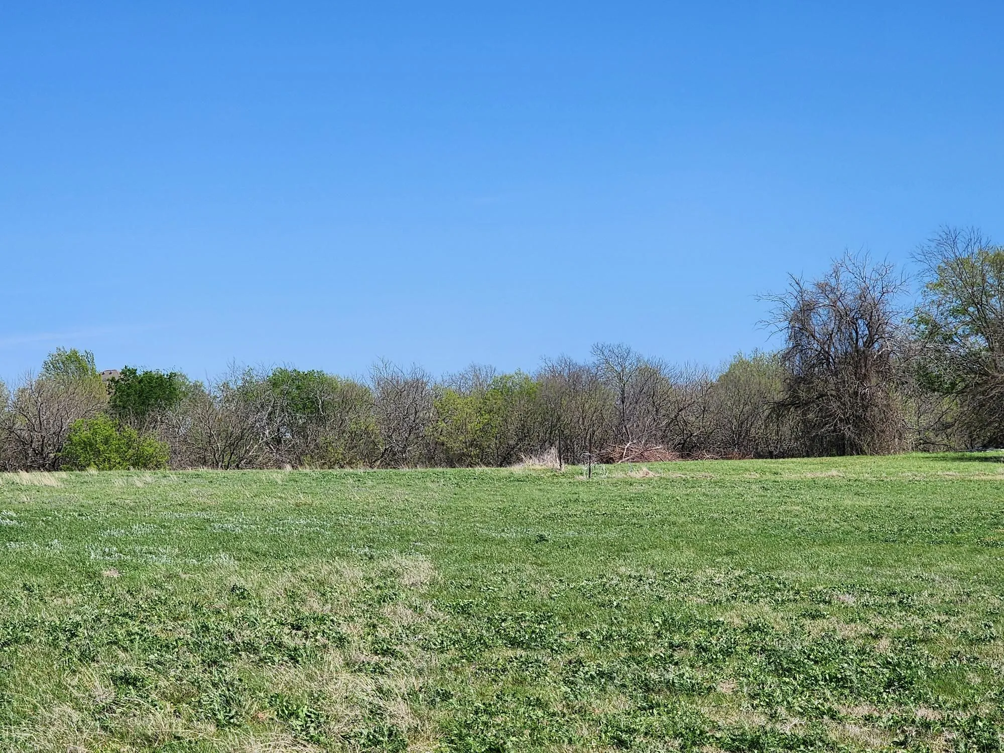 View of grassy yard with a view of rural / pastoral area