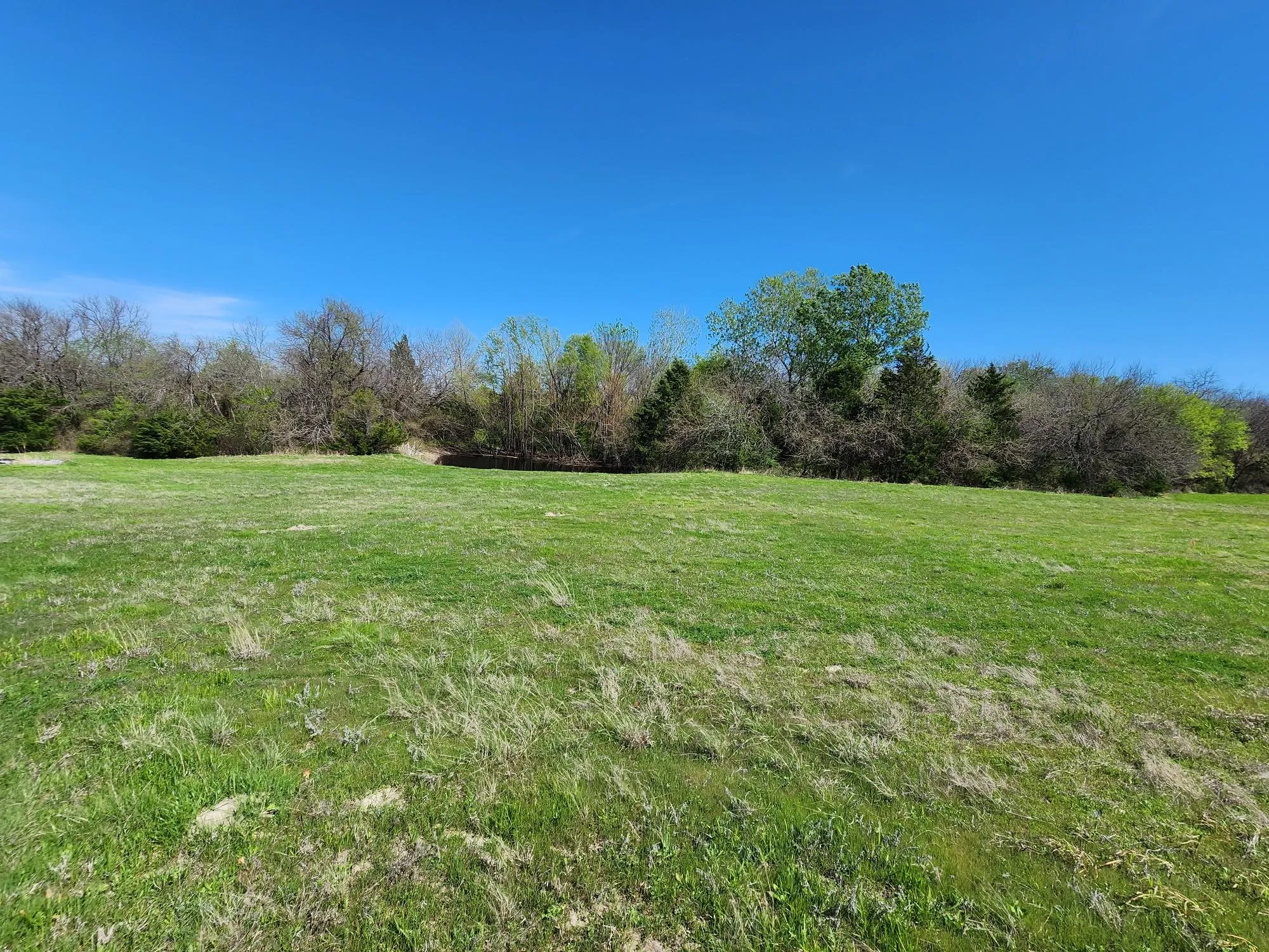 View of green lawn