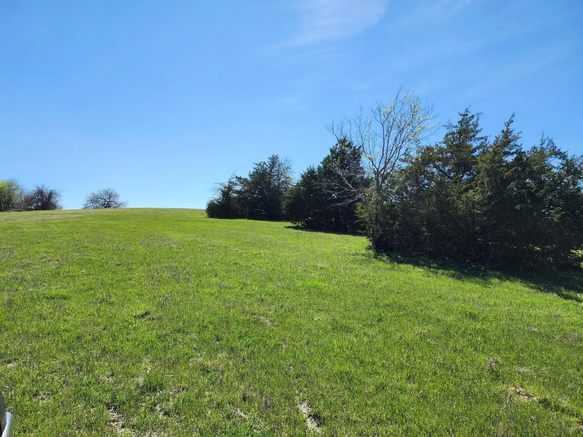 View of grassy yard with a view of rural / pastoral area