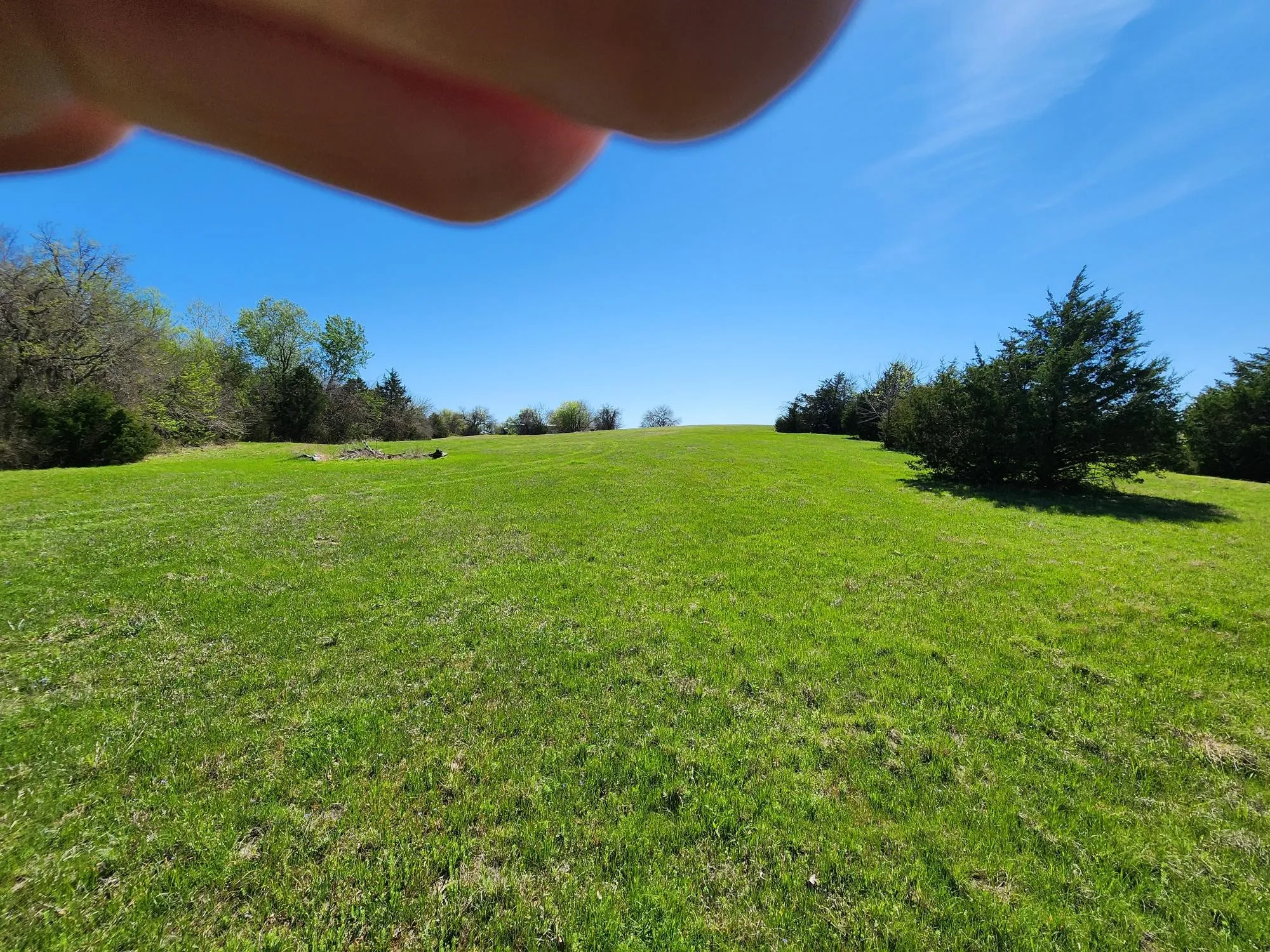 View of grassy yard with a view of rural / pastoral area