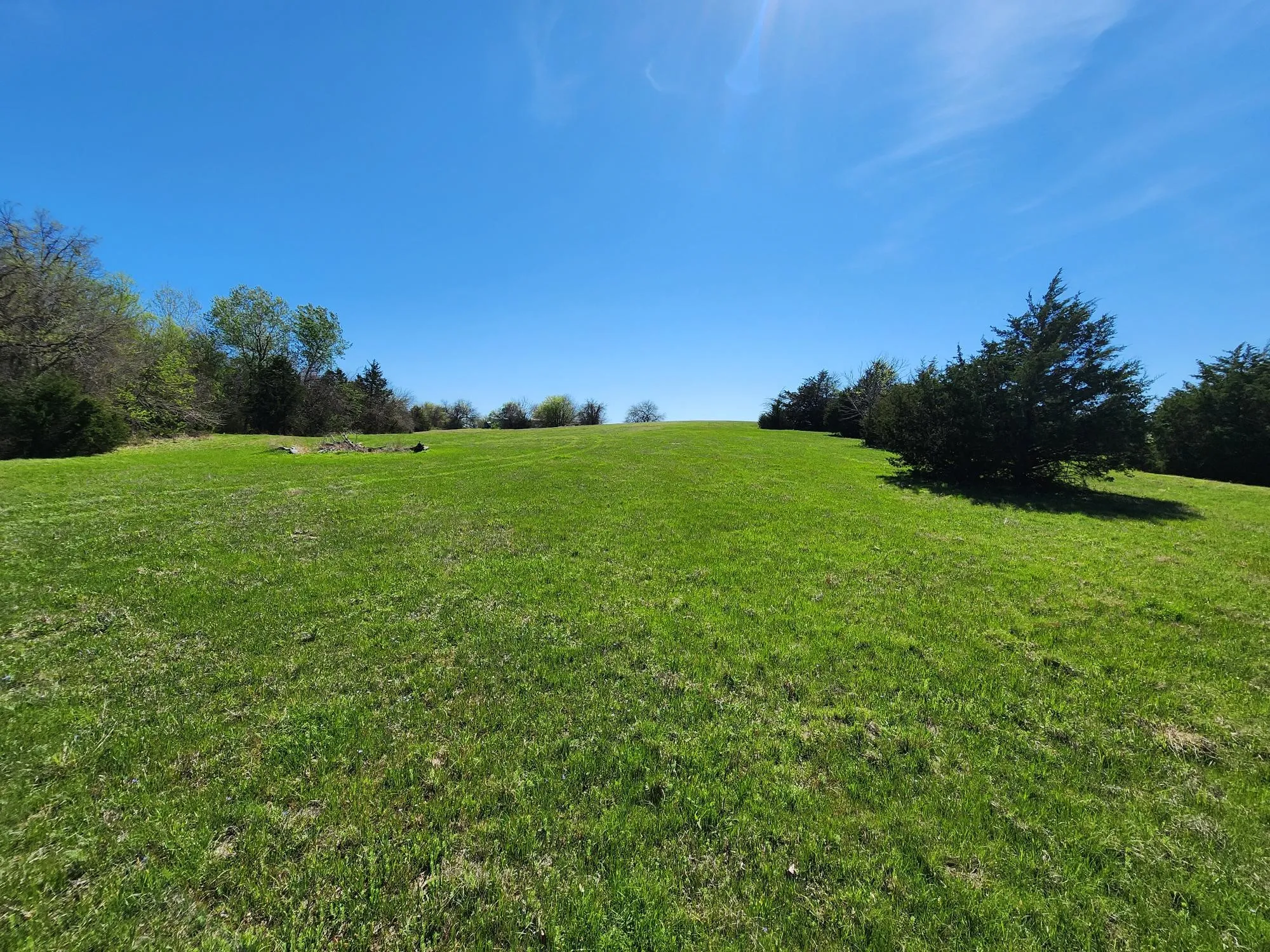 View of grassy yard featuring a view of rural / pastoral area