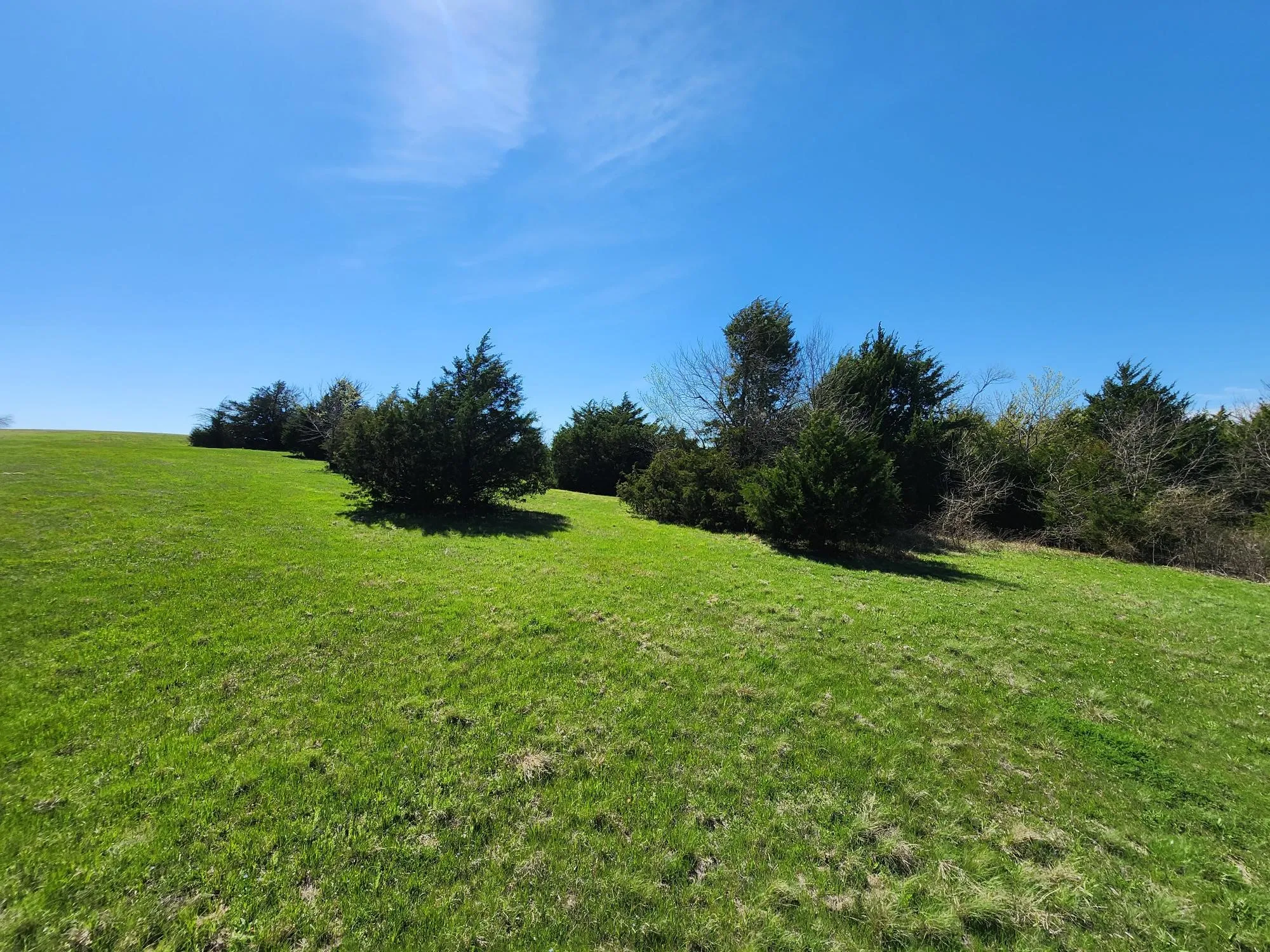 View of grassy yard featuring a rural view